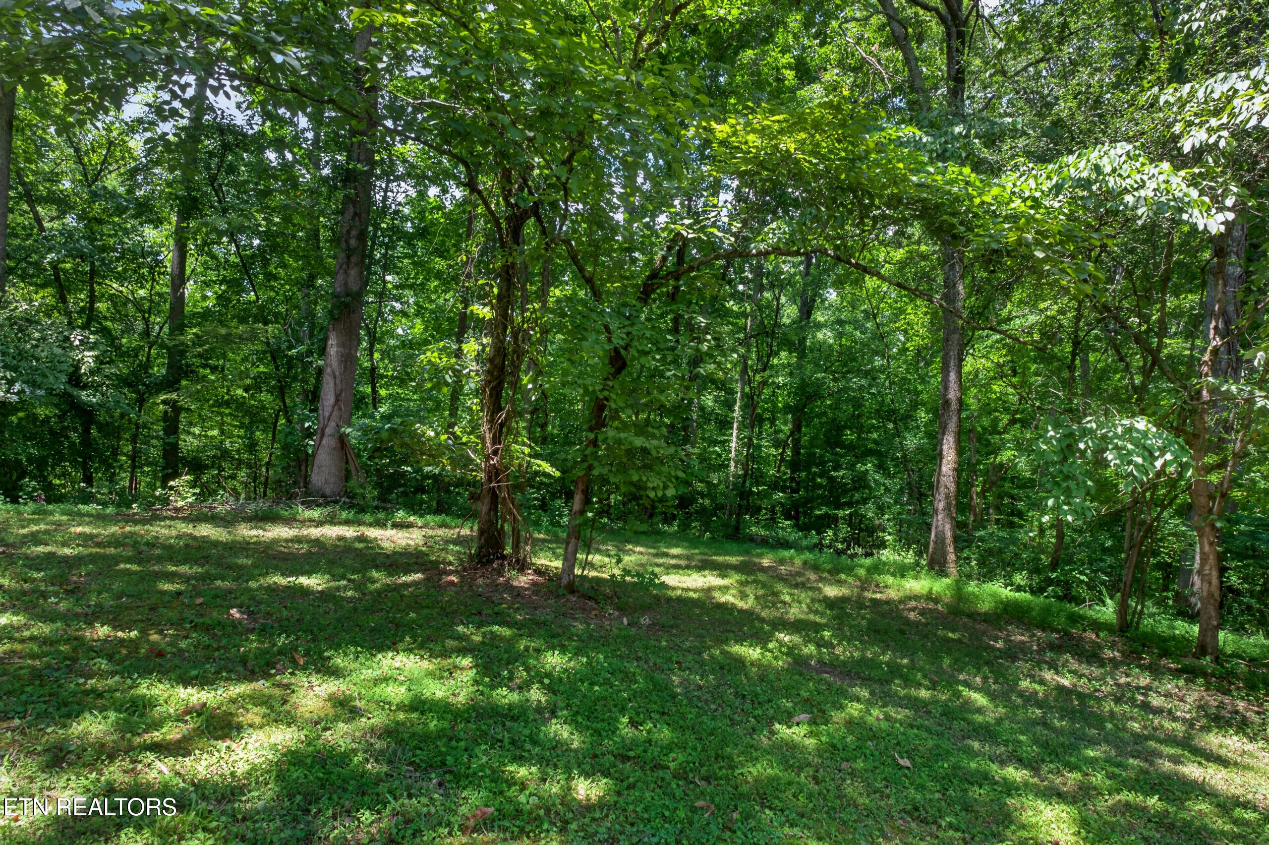 1403 Tanasi Trail Cookeville TN 38506