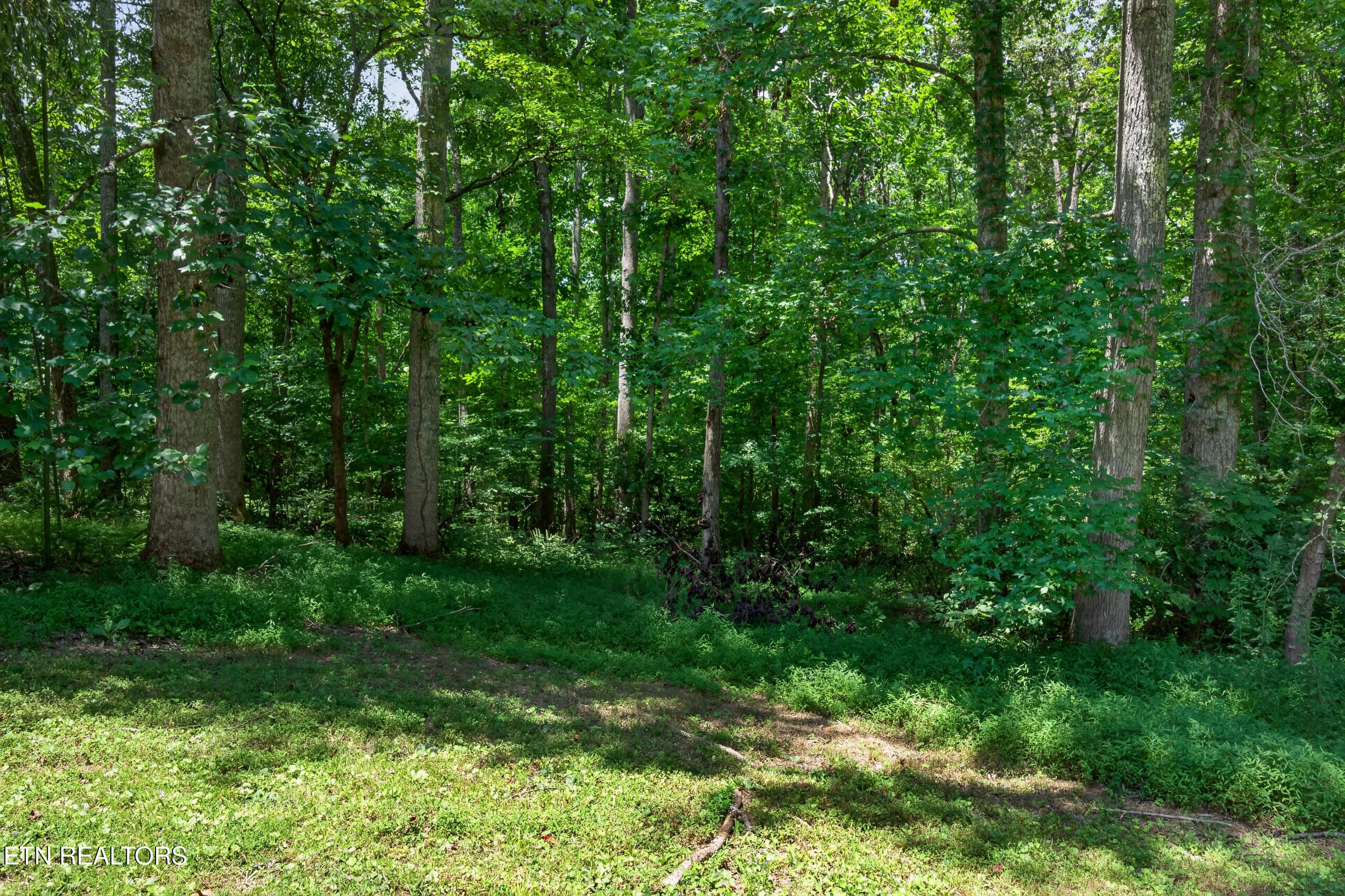 1403 Tanasi Trail Cookeville TN 38506