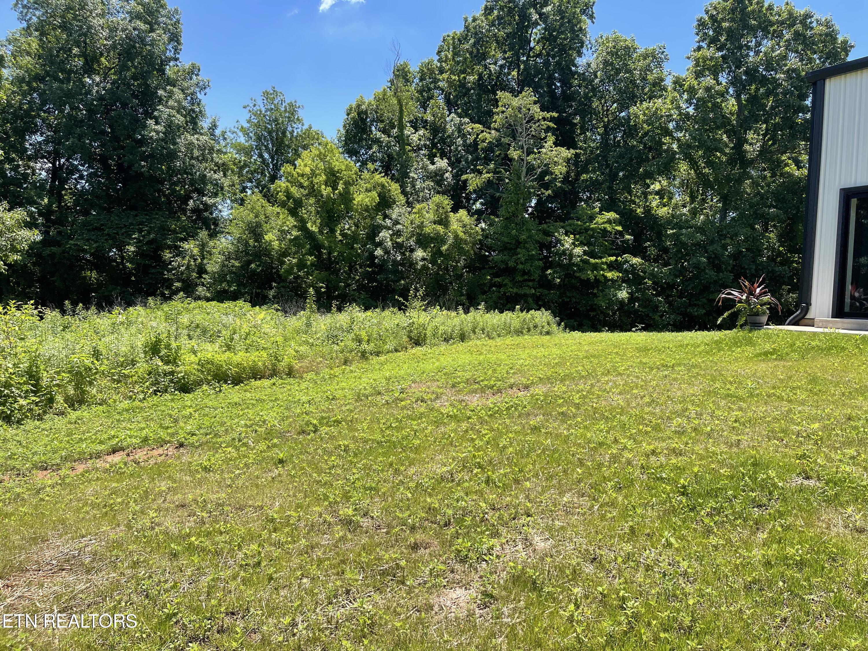 856 Jennifer Drive Knoxville TN 37938