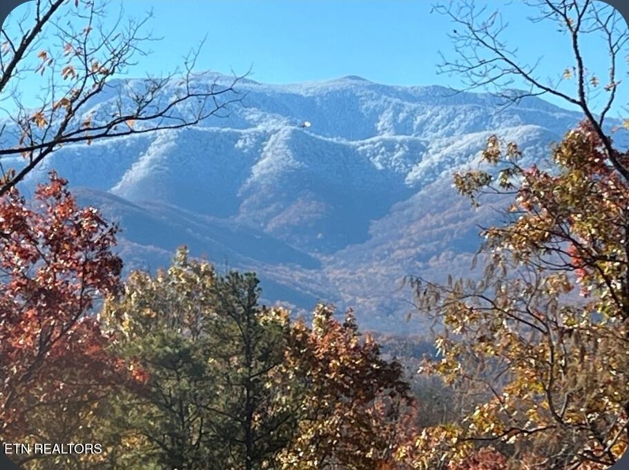 2171 Bause Watson Lane Gatlinburg TN 37738