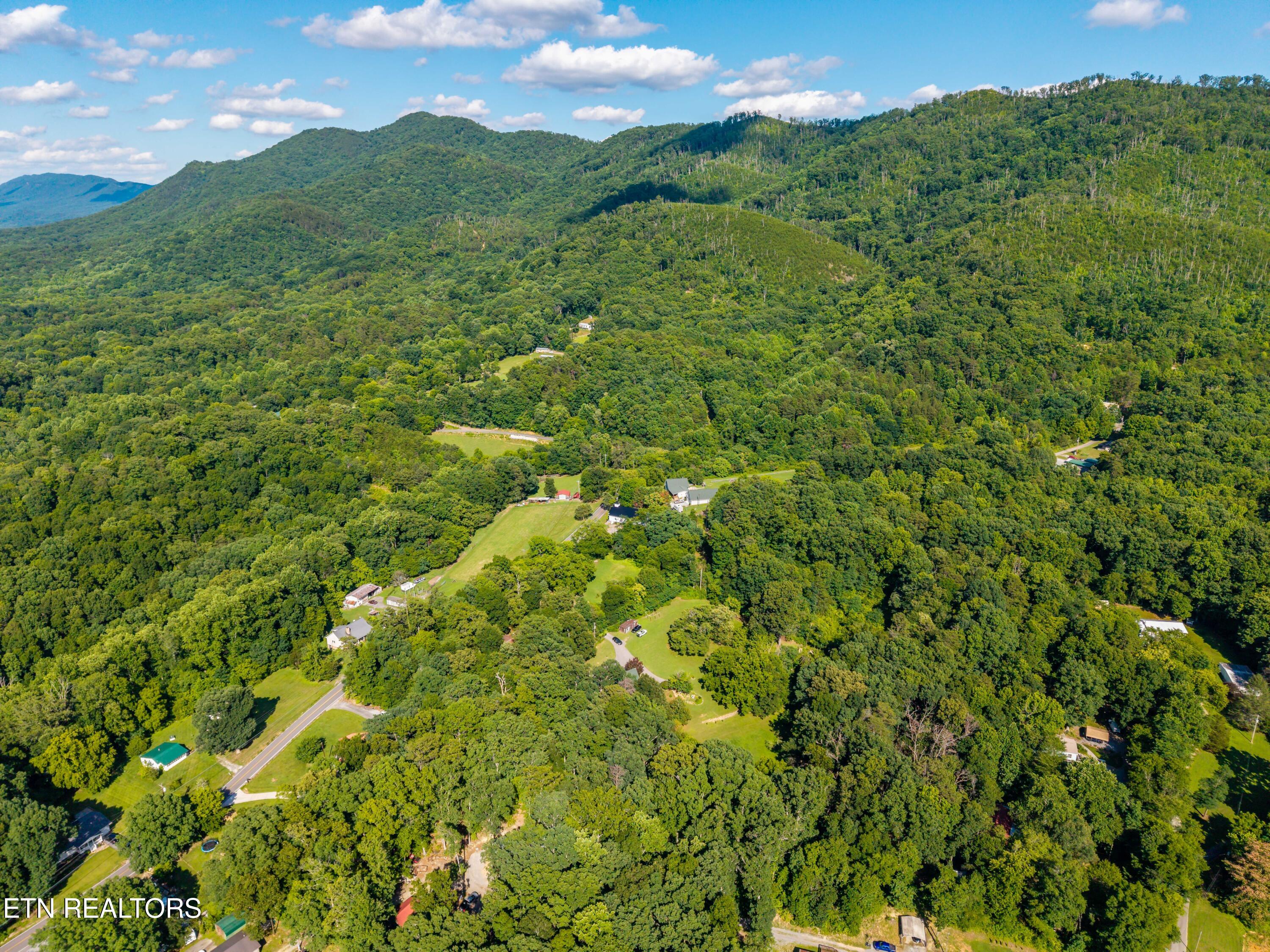 756 Blair Loop Walland TN 37886