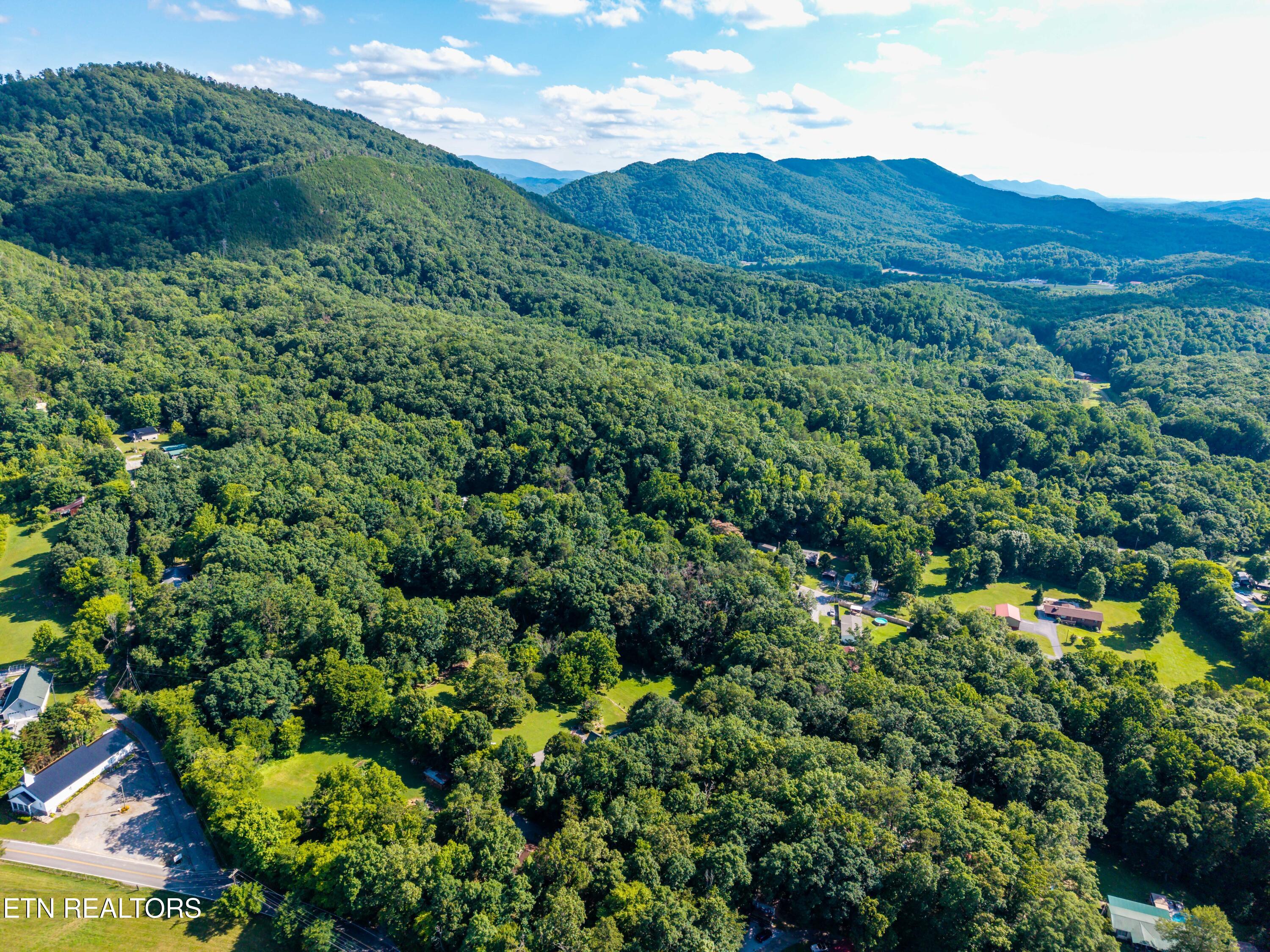 756 Blair Loop Walland TN 37886