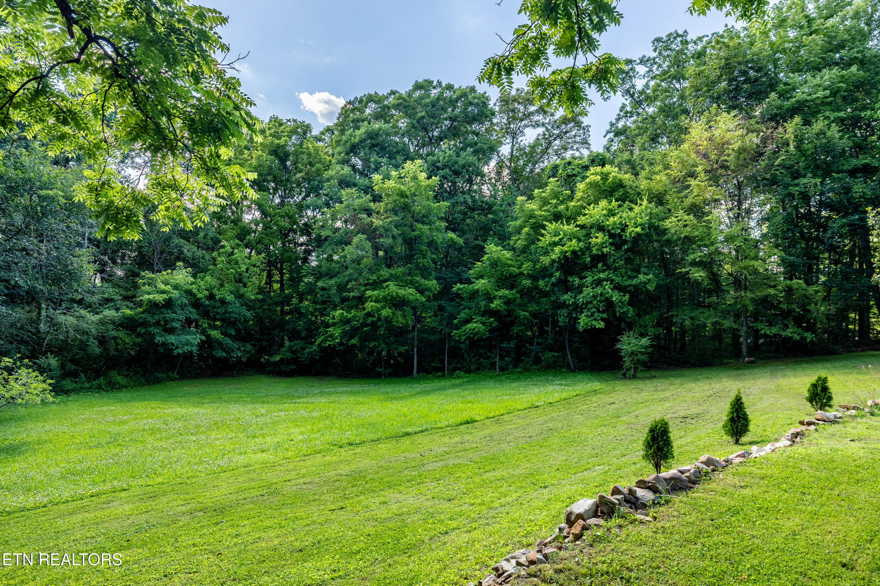 756 Blair Loop Walland TN 37886