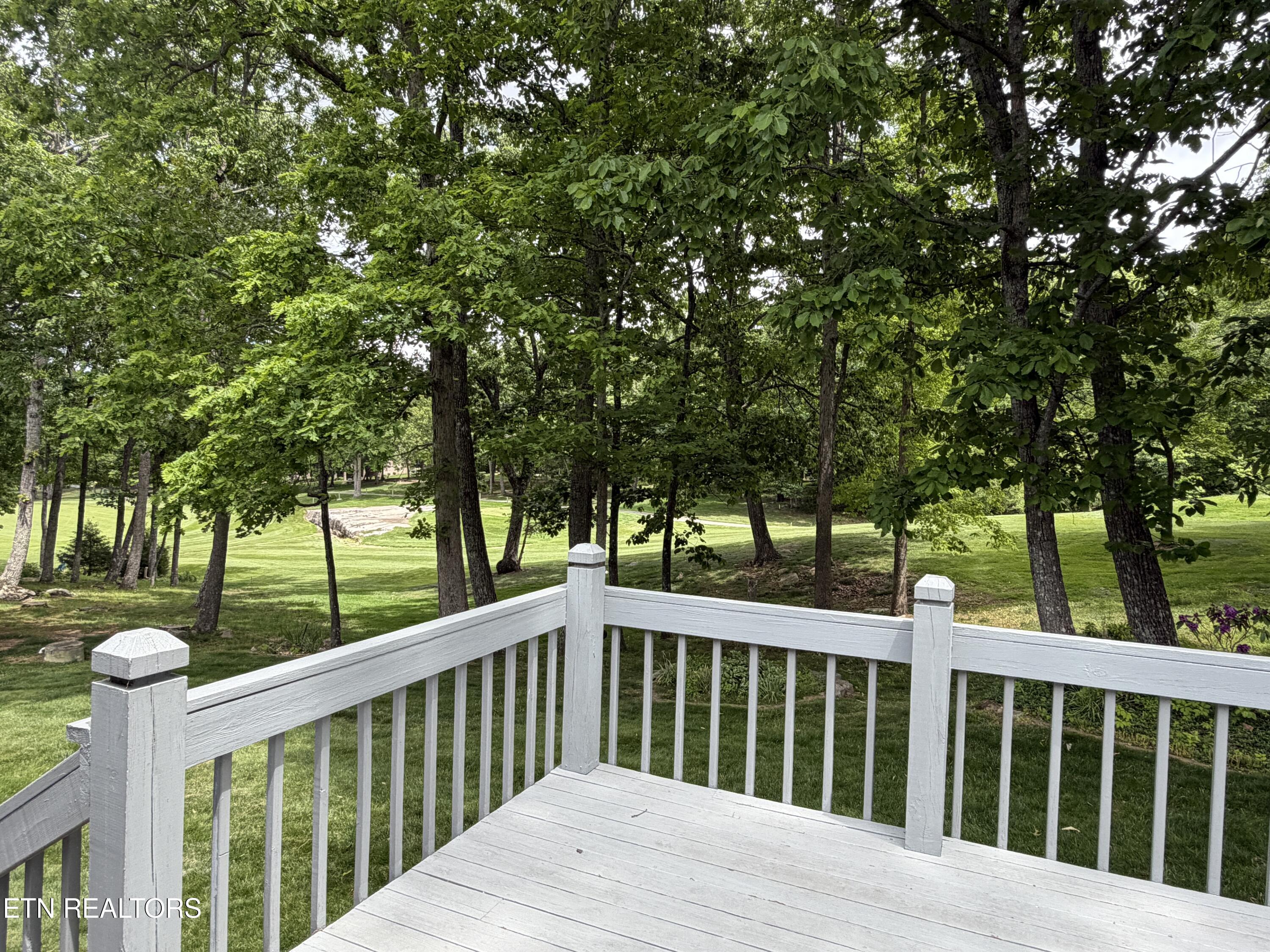 18 Heather Glen Drive Fairfield Glade TN 38558