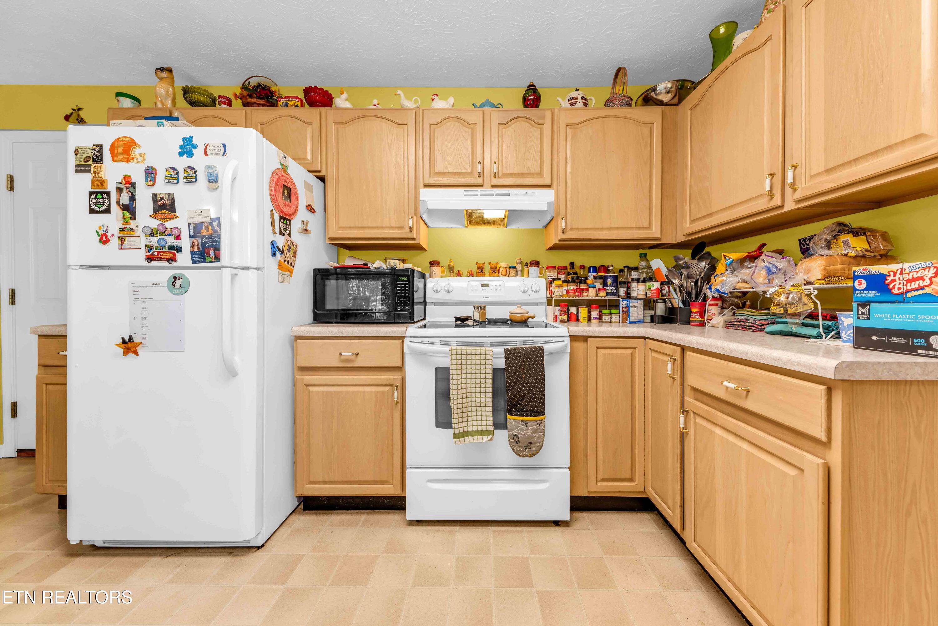143 Nicole Chase Lane Knoxville TN 37924