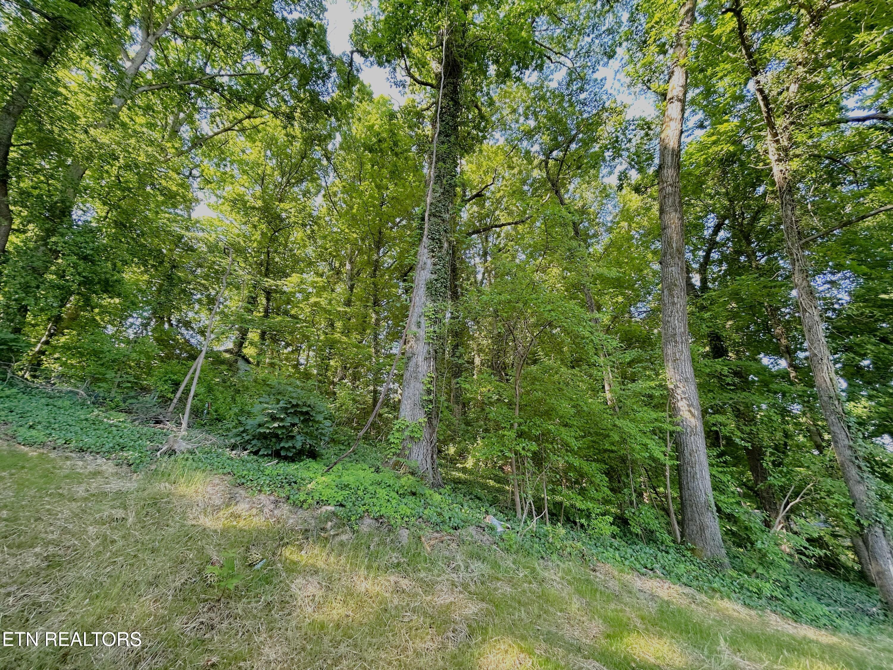 211 Mavis Lane Maryville TN 37804