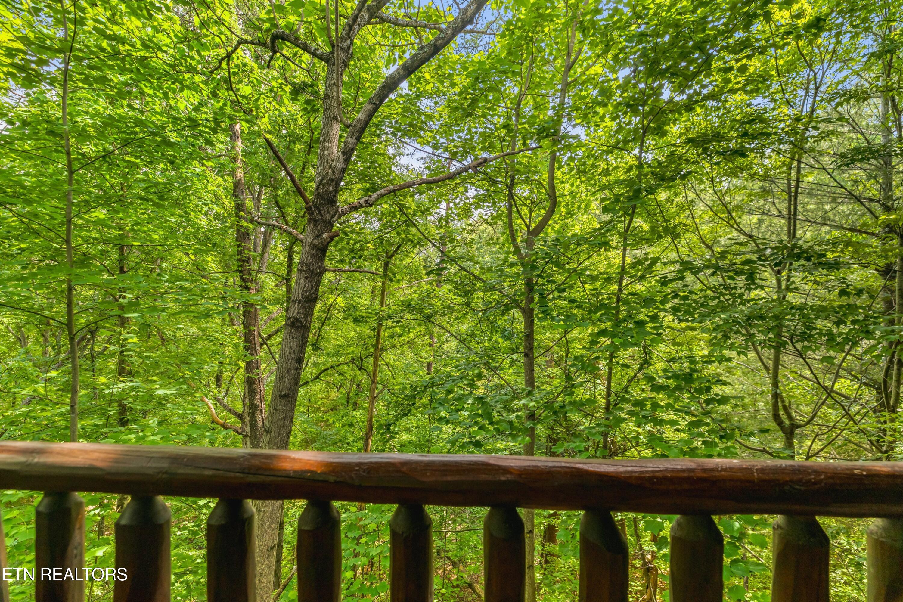 1820 Skyhawk Lane Sevierville TN 37876