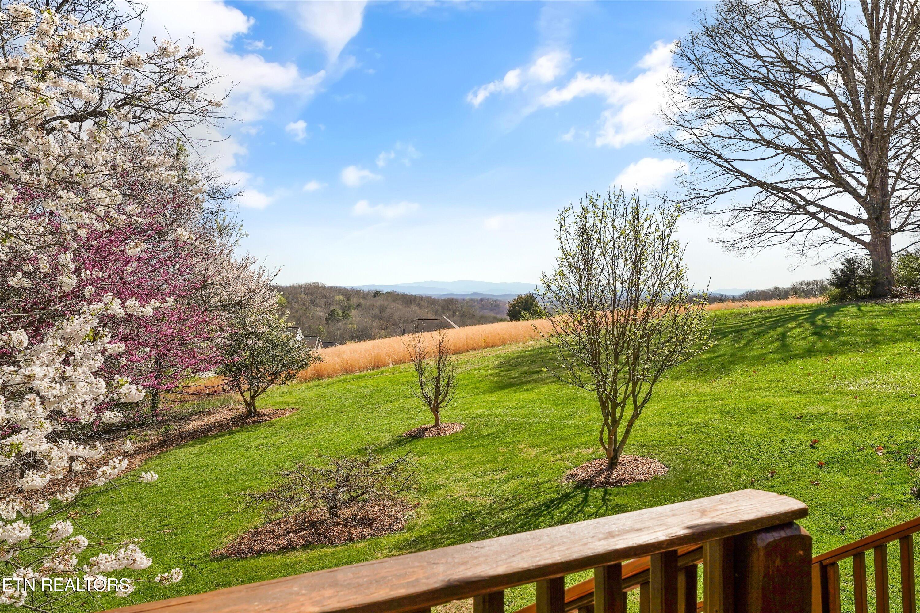 10937 Sallings Road Knoxville TN 37922