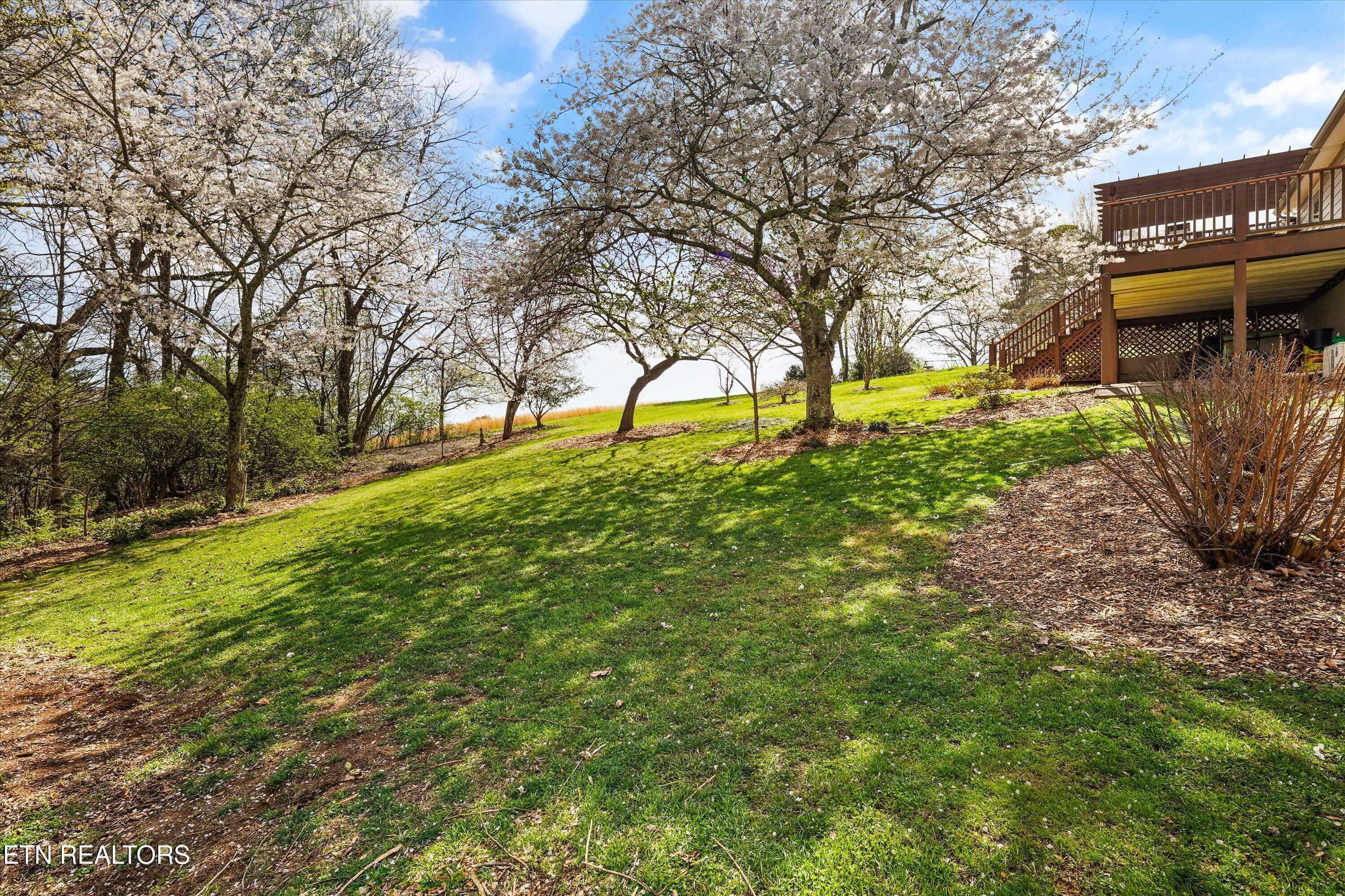 10937 Sallings Road Knoxville TN 37922