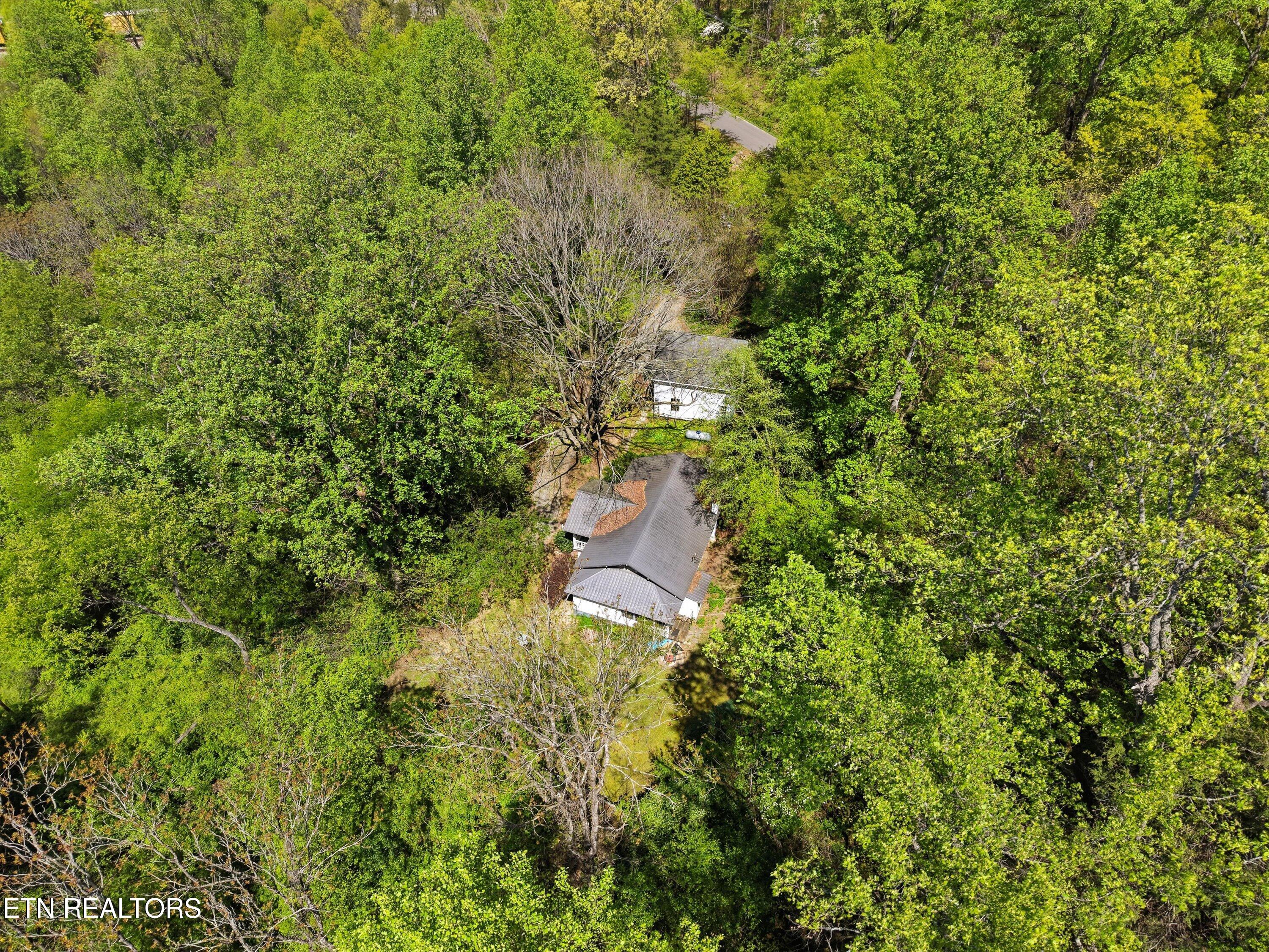 315 Laurel Hollow Road Clinton TN 37716