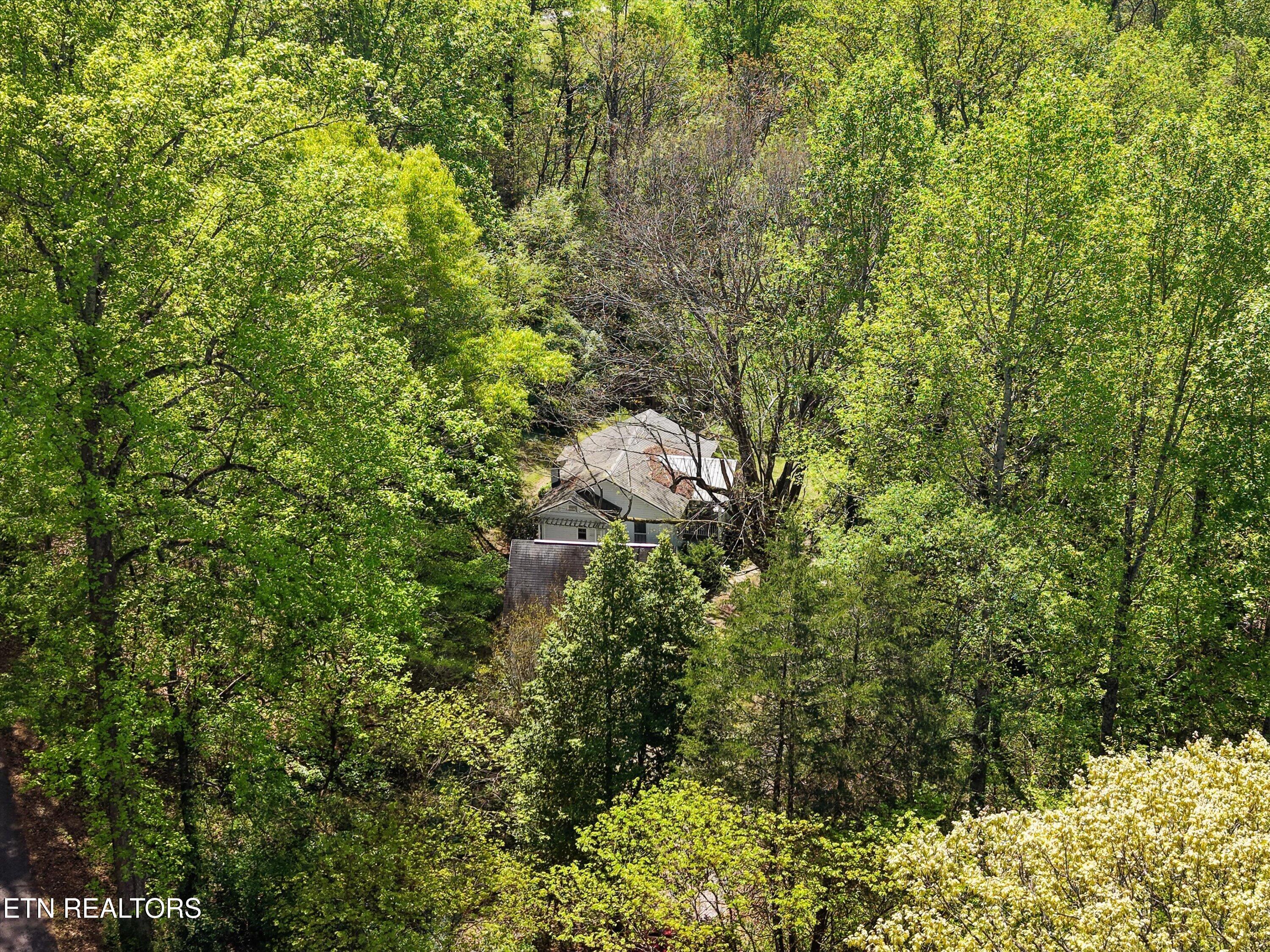 315 Laurel Hollow Road Clinton TN 37716