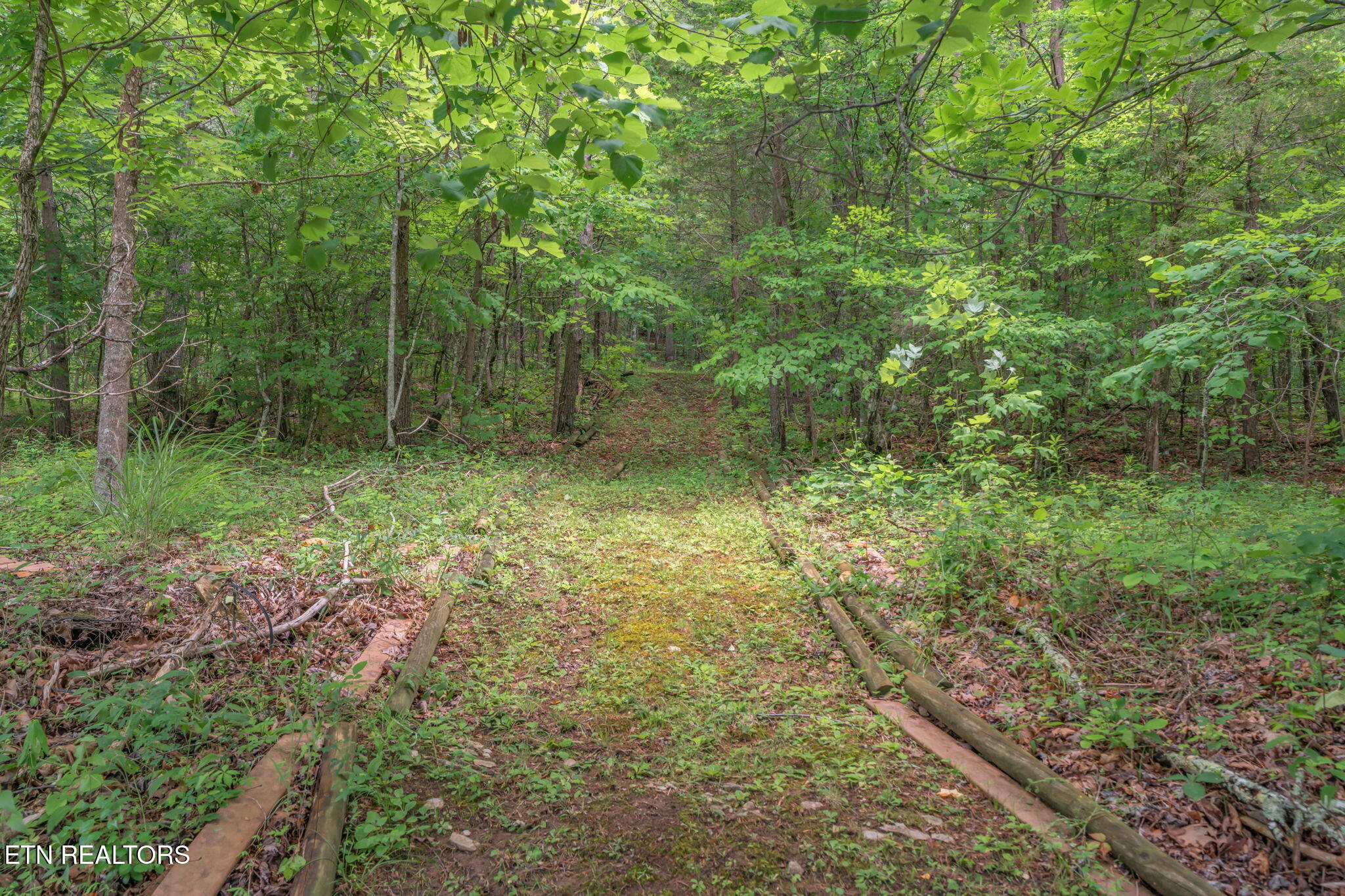 118 Dupont Smith Lane Kingston TN 37763