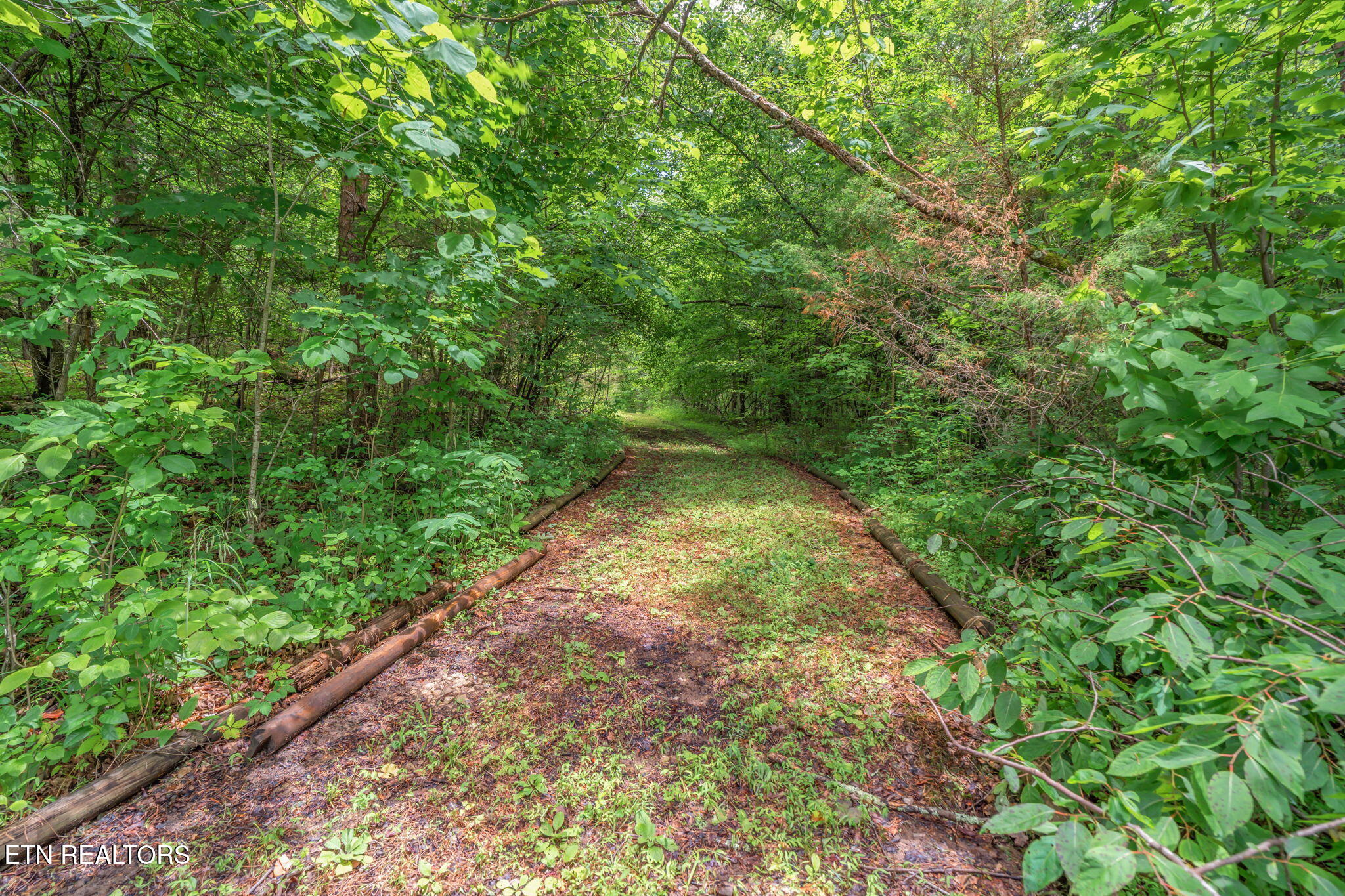 118 Dupont Smith Lane Kingston TN 37763