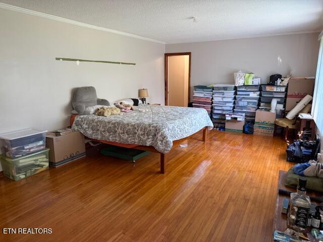 834 Whitehall Road Knoxville TN 37909