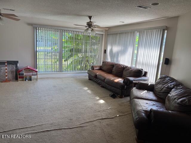 834 Whitehall Road Knoxville TN 37909