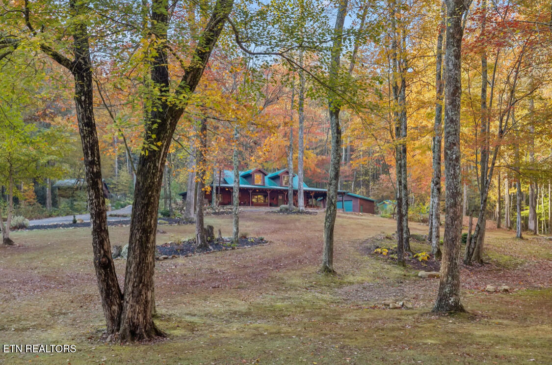 480 Holder Cemetery Road Tellico Plains TN 37385