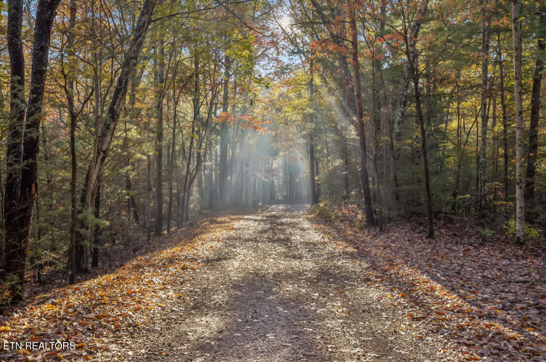 480 Holder Cemetery Road Tellico Plains TN 37385