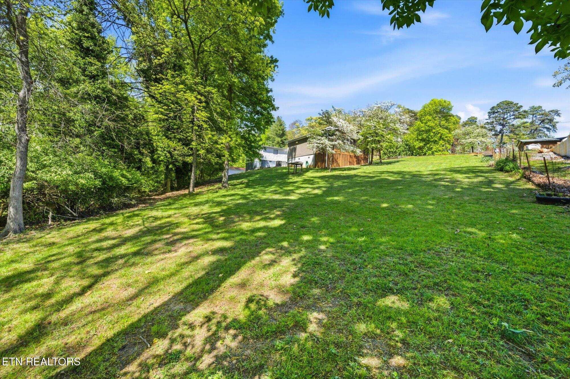 1547 Millstone Beach Road Dandridge TN 37725
