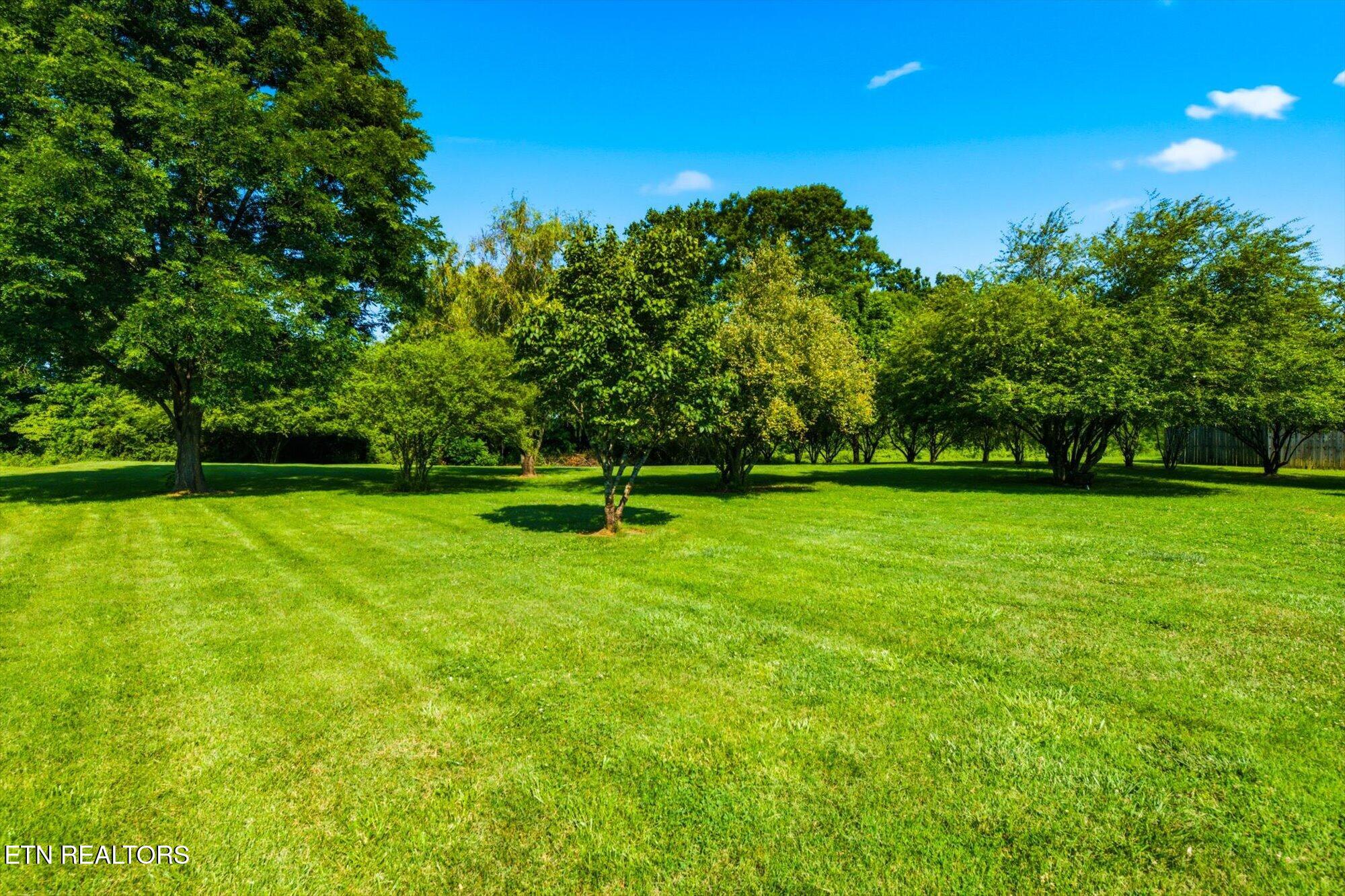 114 Brighton Farms Way Madisonville TN 37354
