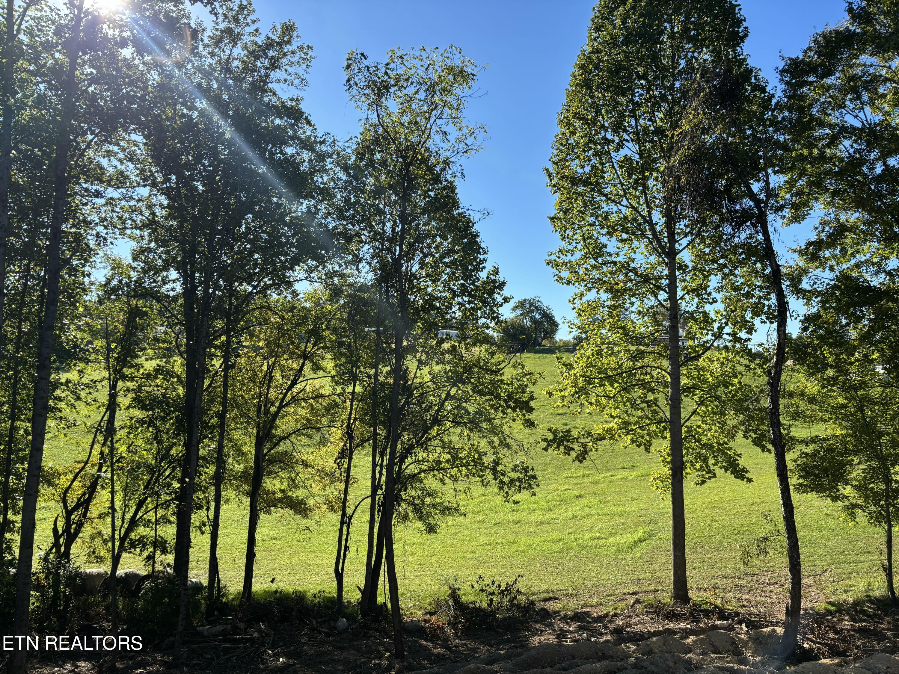 128 Whitaker Lane Tazewell TN 37879