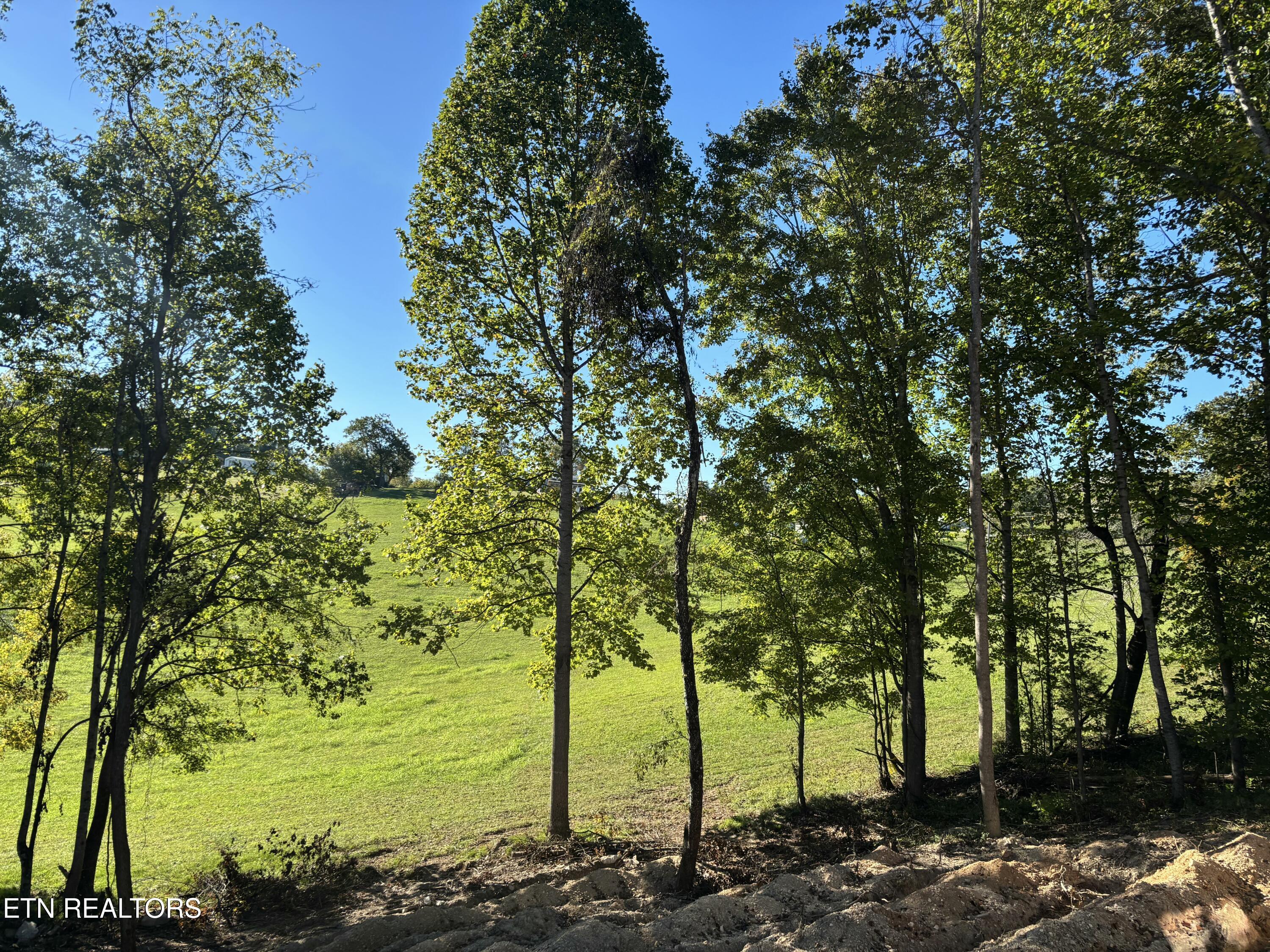 128 Whitaker Lane Tazewell TN 37879