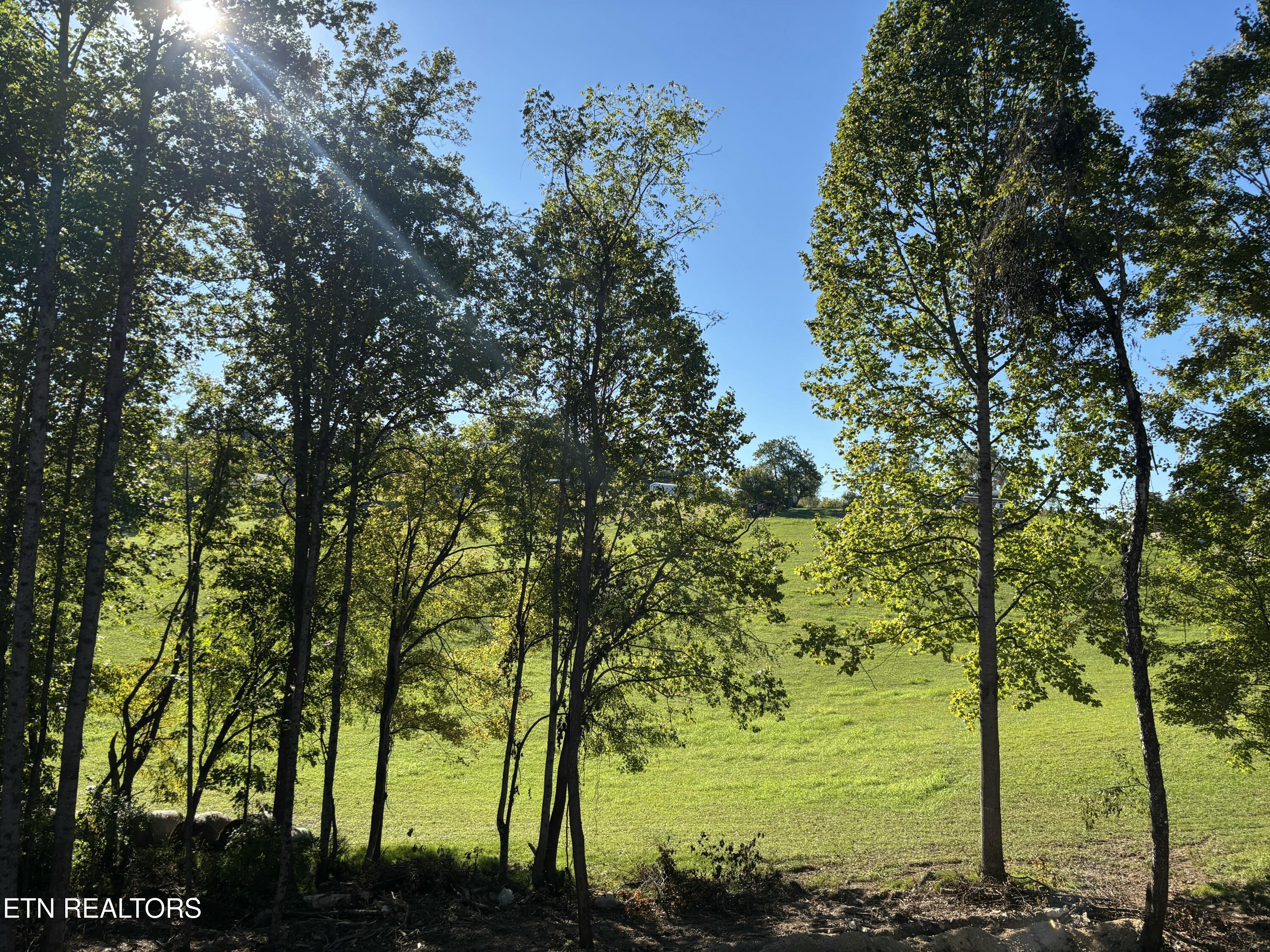 128 Whitaker Lane Tazewell TN 37879
