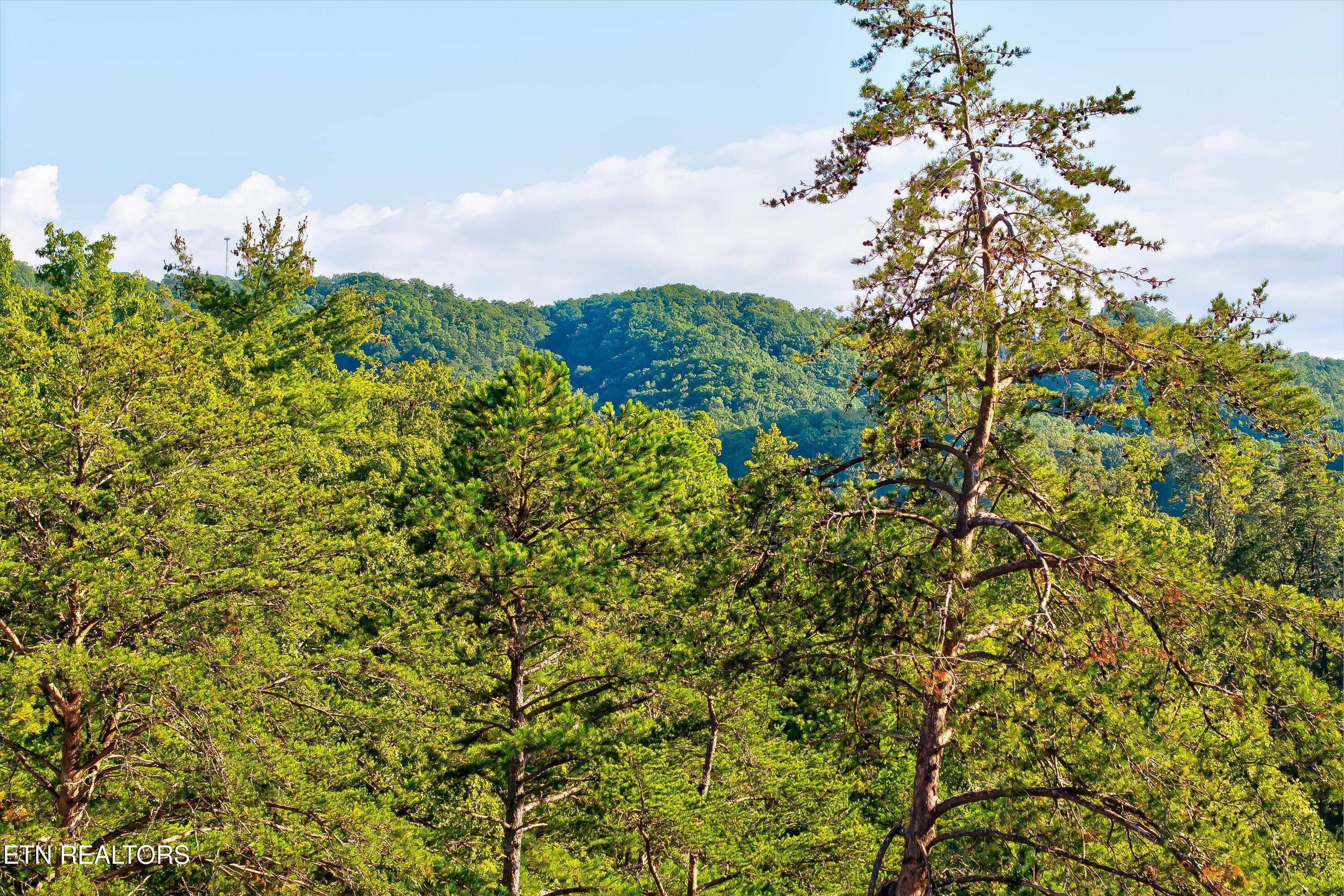 2462 Dogwood Loop Drive Sevierville TN 37876