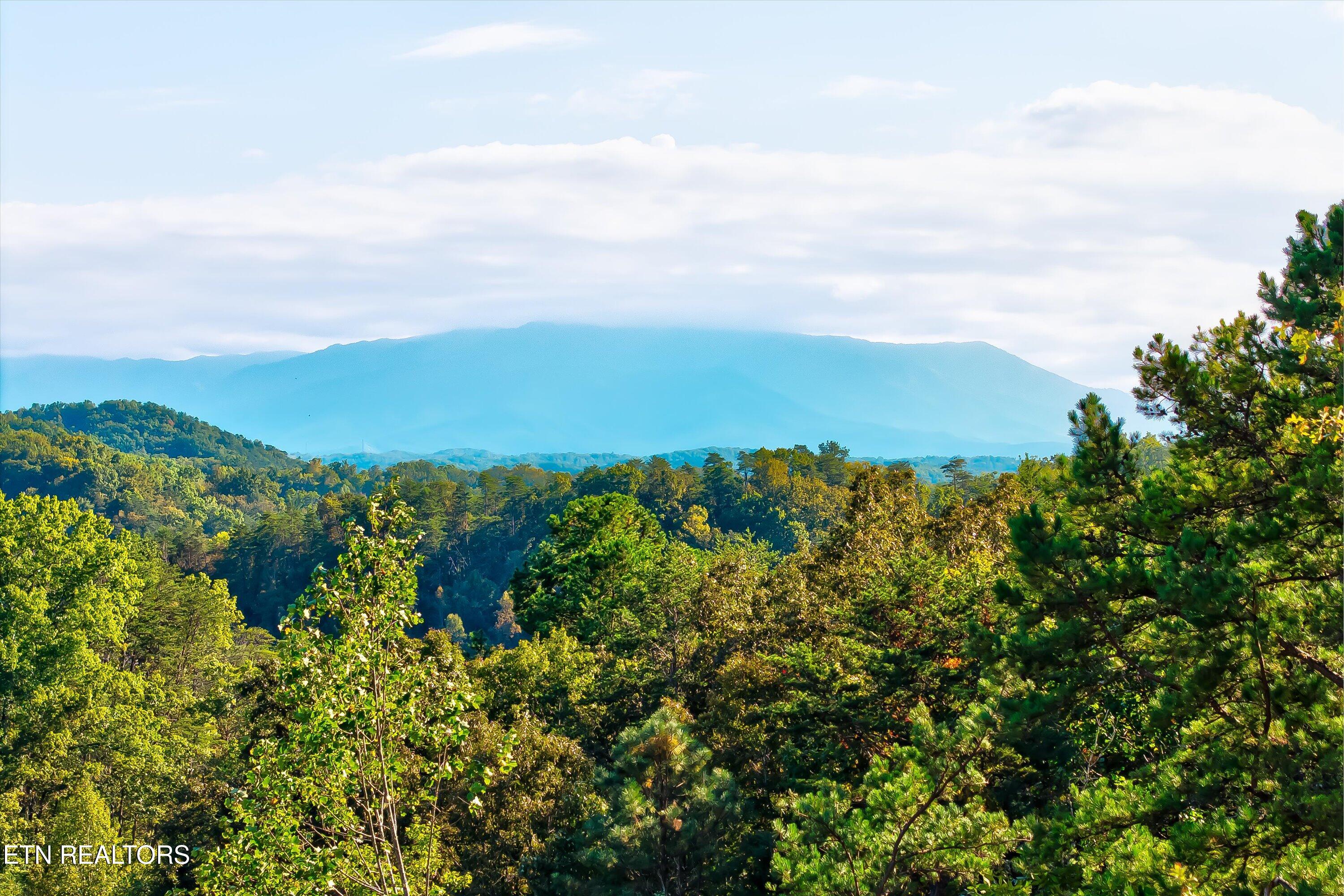 2462 Dogwood Loop Drive Sevierville TN 37876