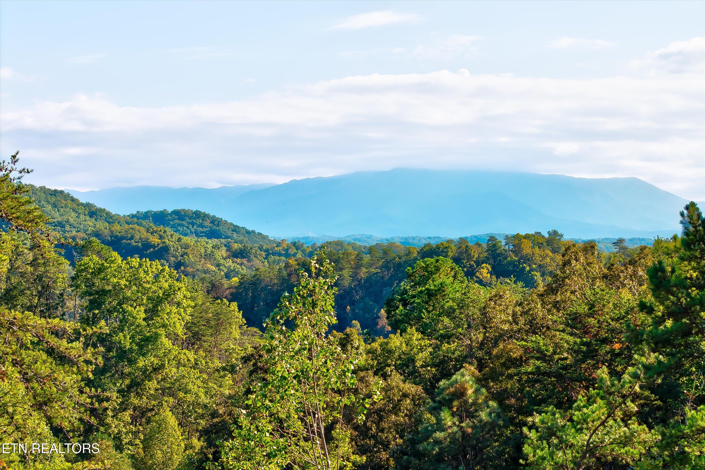 2462 Dogwood Loop Drive Sevierville TN 37876