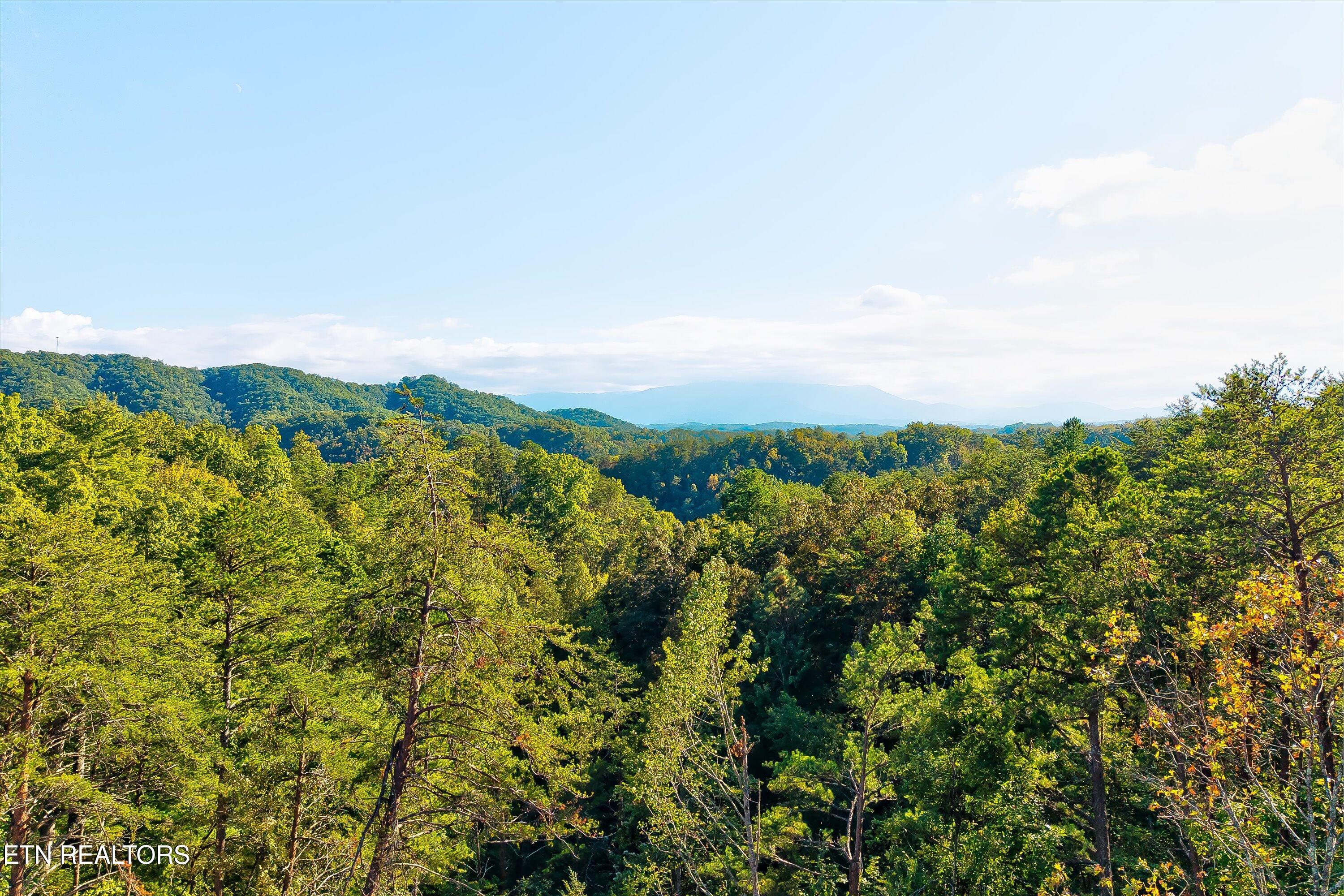 2462 Dogwood Loop Drive Sevierville TN 37876
