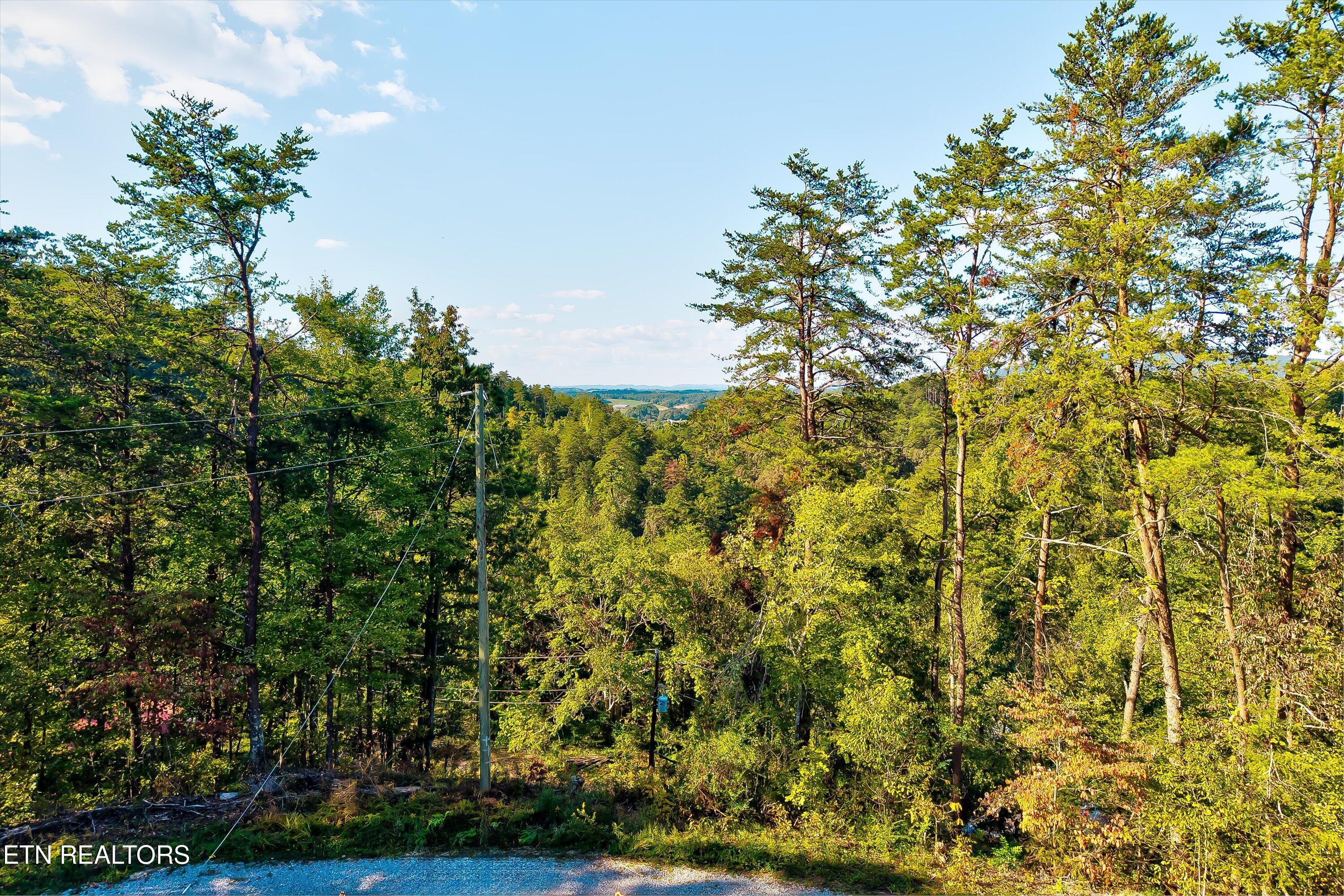2462 Dogwood Loop Drive Sevierville TN 37876