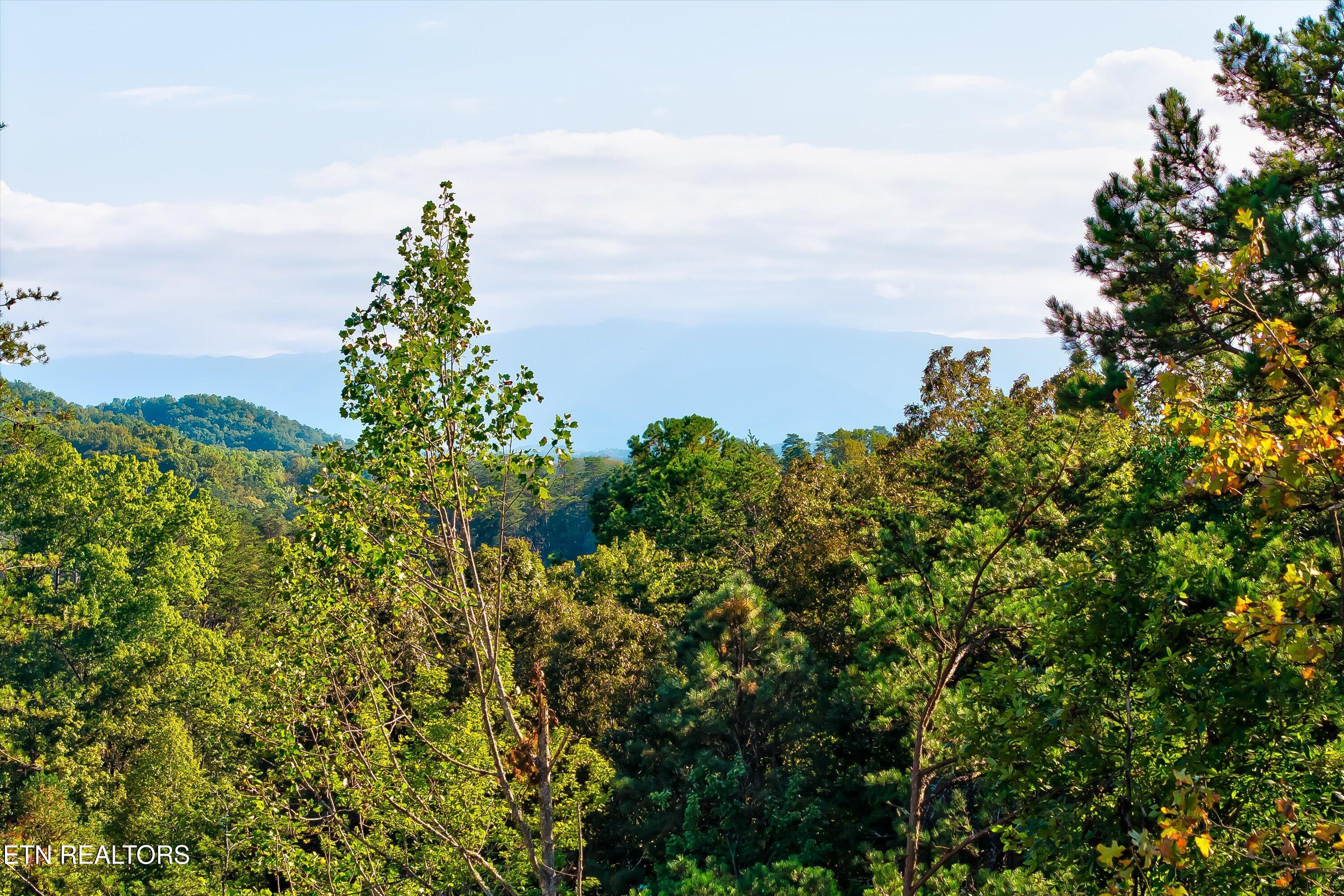 2462 Dogwood Loop Drive Sevierville TN 37876