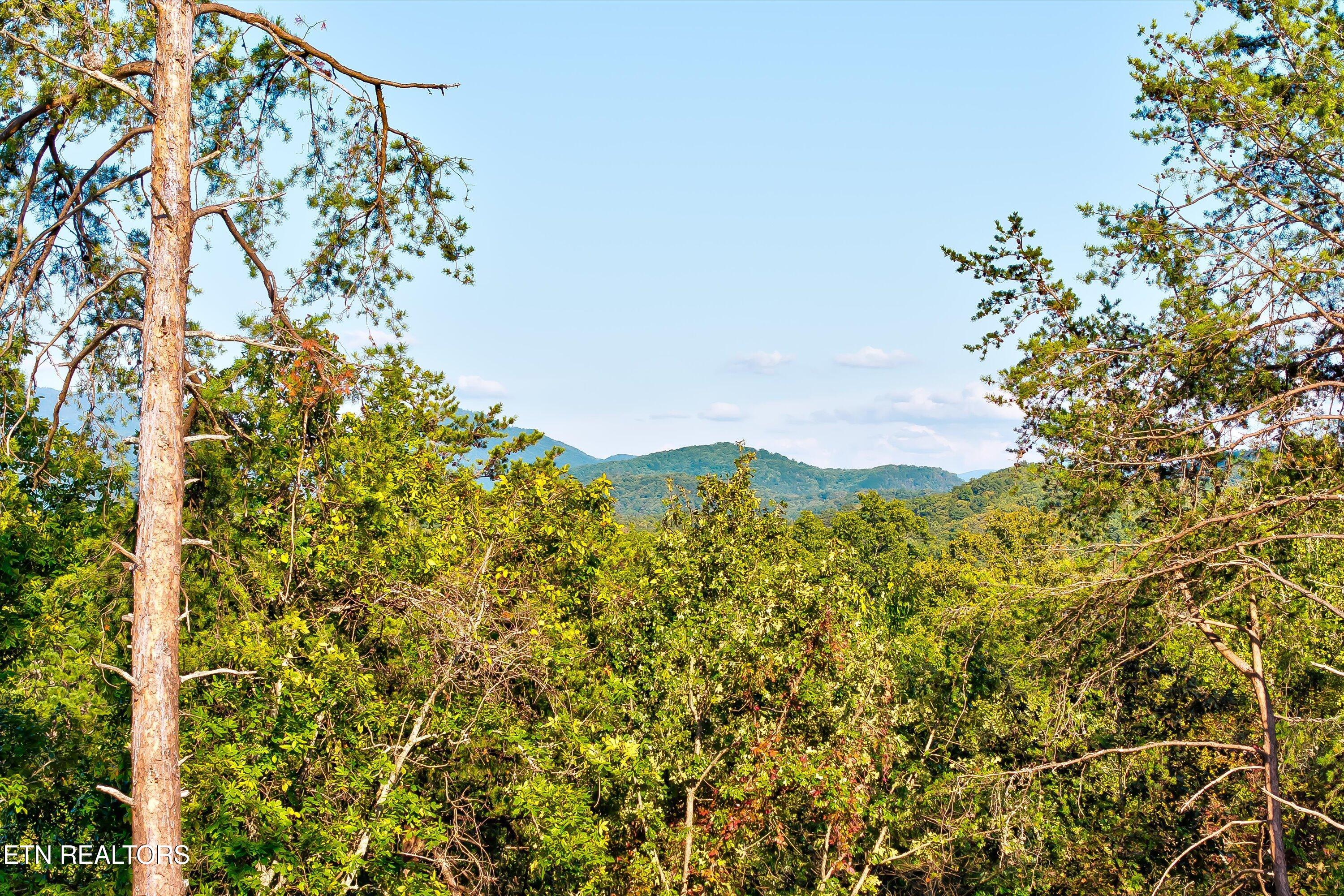 2462 Dogwood Loop Drive Sevierville TN 37876