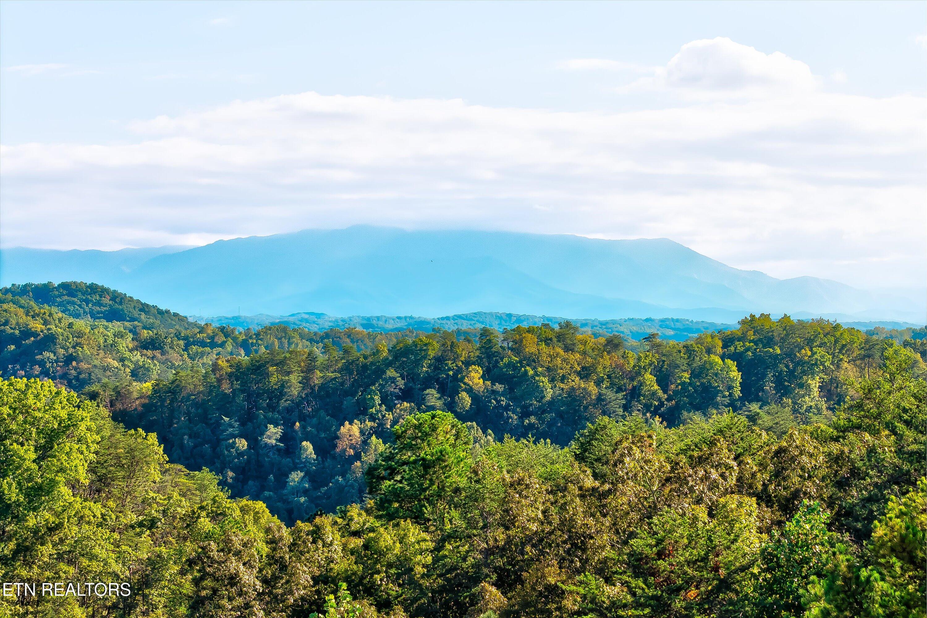 2462 Dogwood Loop Drive Sevierville TN 37876