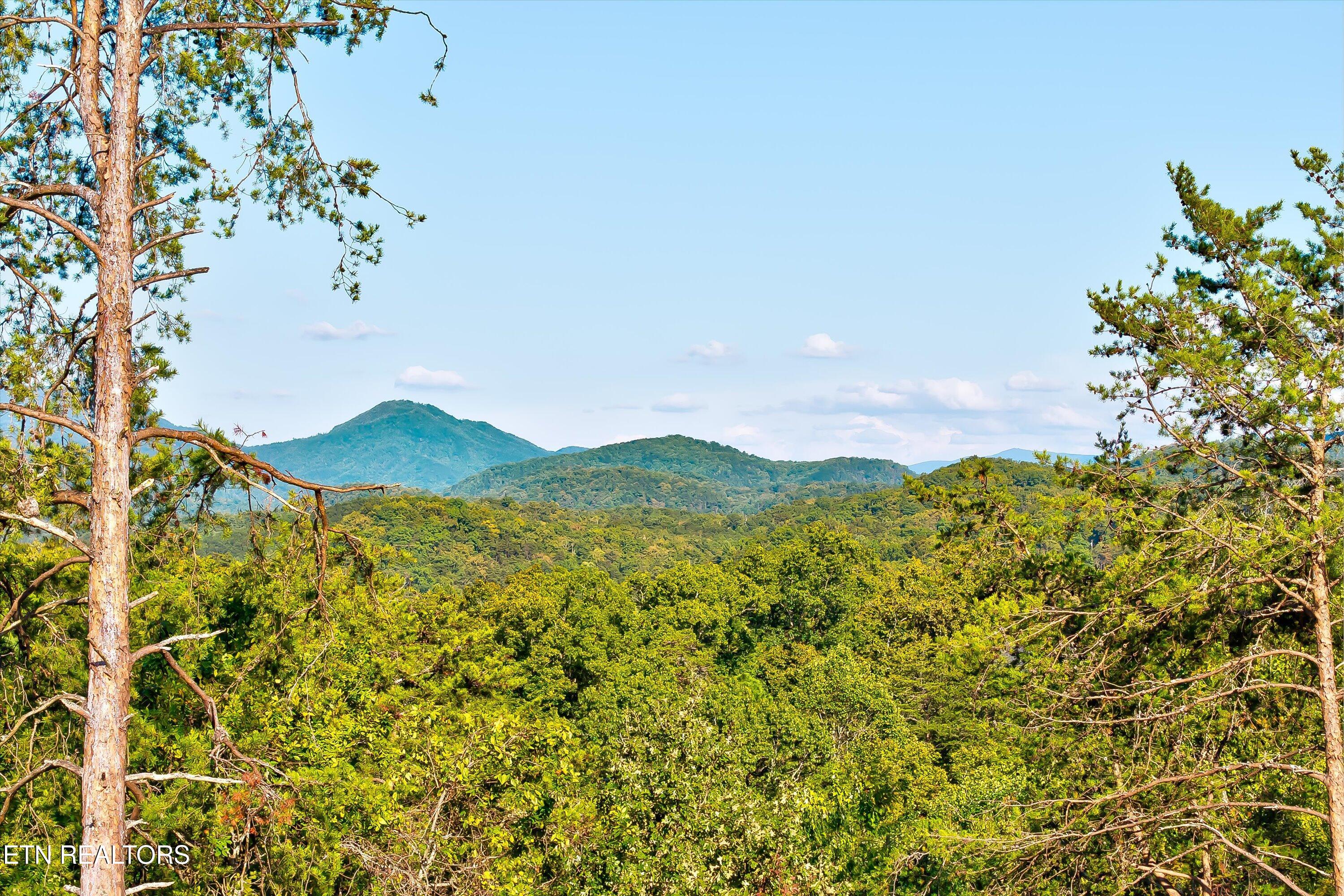 2462 Dogwood Loop Drive Sevierville TN 37876