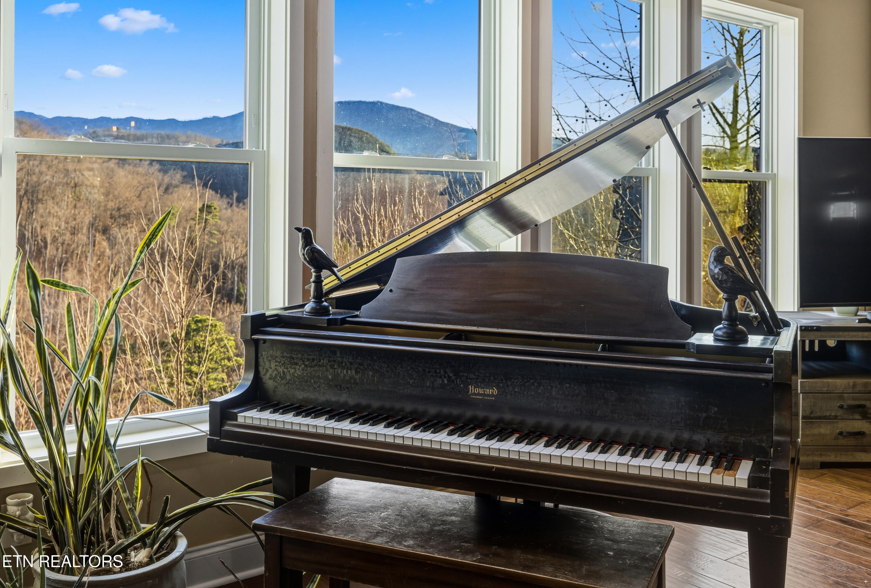 835 Perry Drive Gatlinburg TN 37738