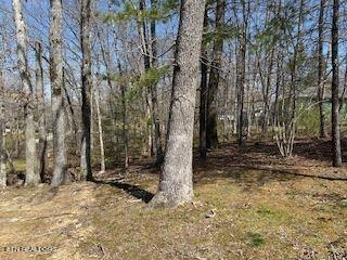 309 Saint George Drive Crossville TN 38558