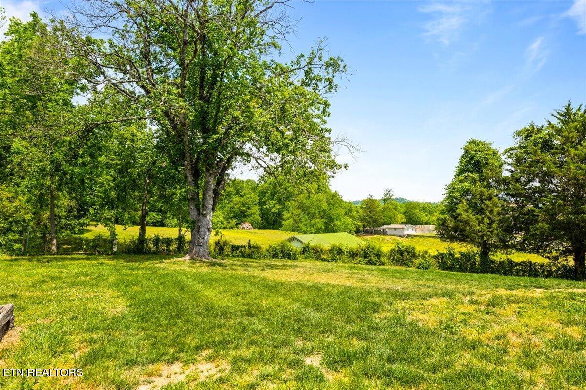 524 Park Road Caryville TN 37714
