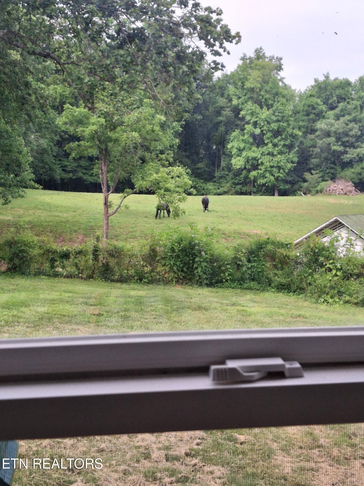 524 Park Road Caryville TN 37714
