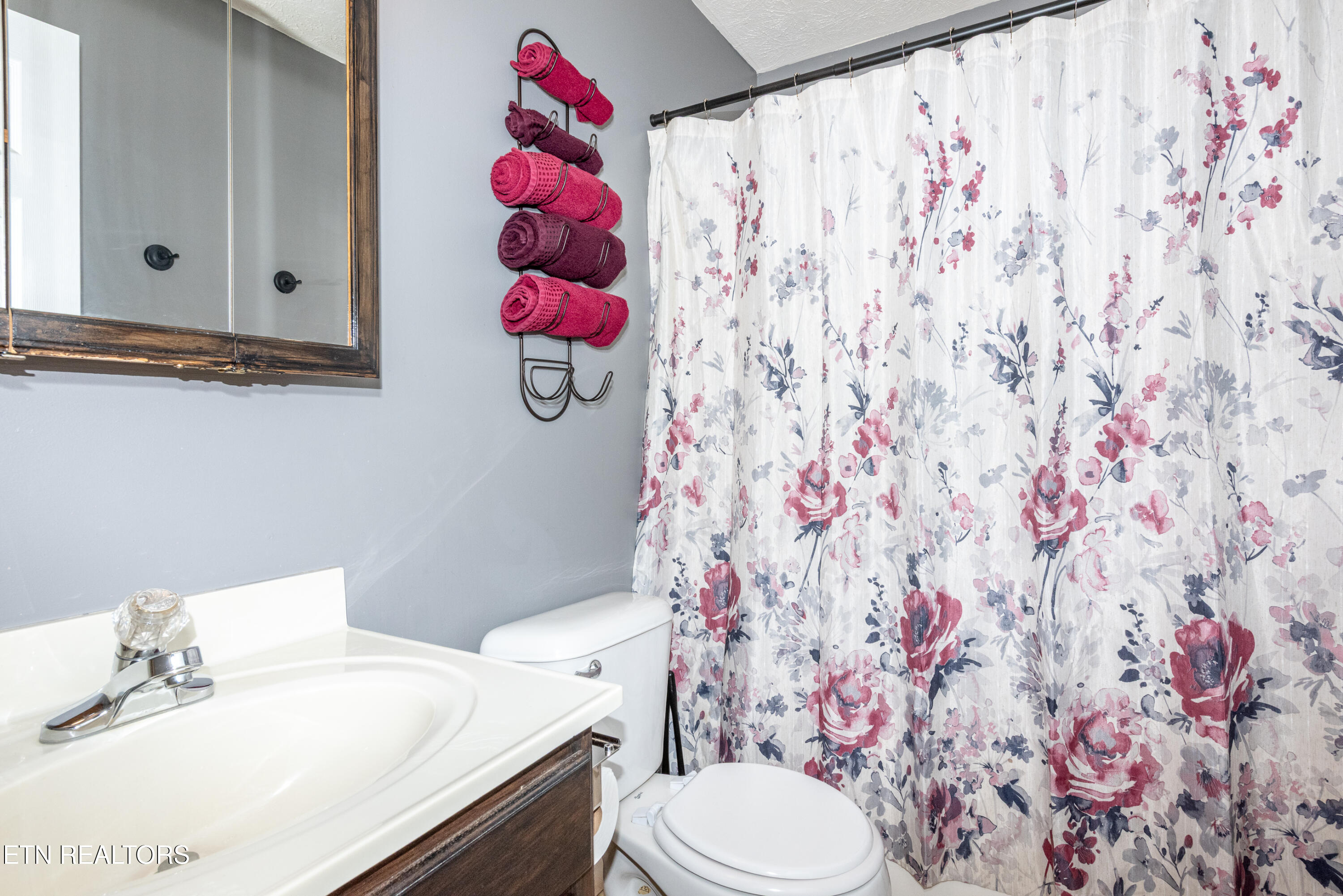 2573 Bay Meadows Way Sevierville TN 37876