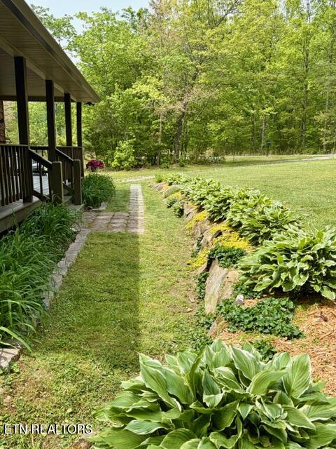 331 E Cove Road Monterey TN 38574