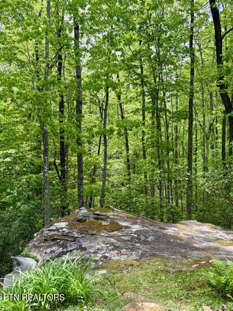 331 E Cove Road Monterey TN 38574
