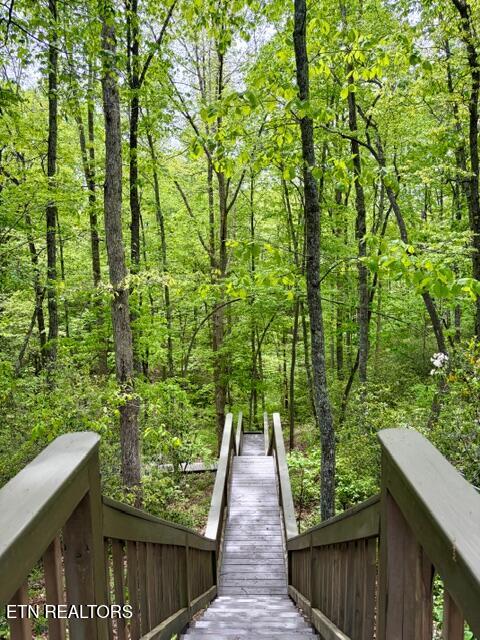 331 E Cove Road Monterey TN 38574