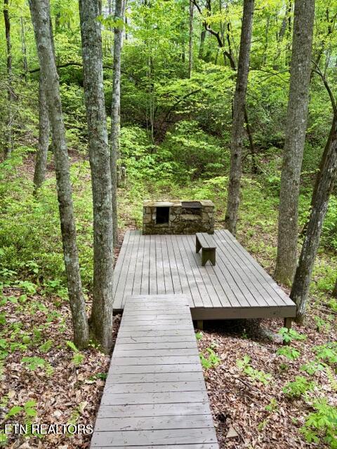 331 E Cove Road Monterey TN 38574