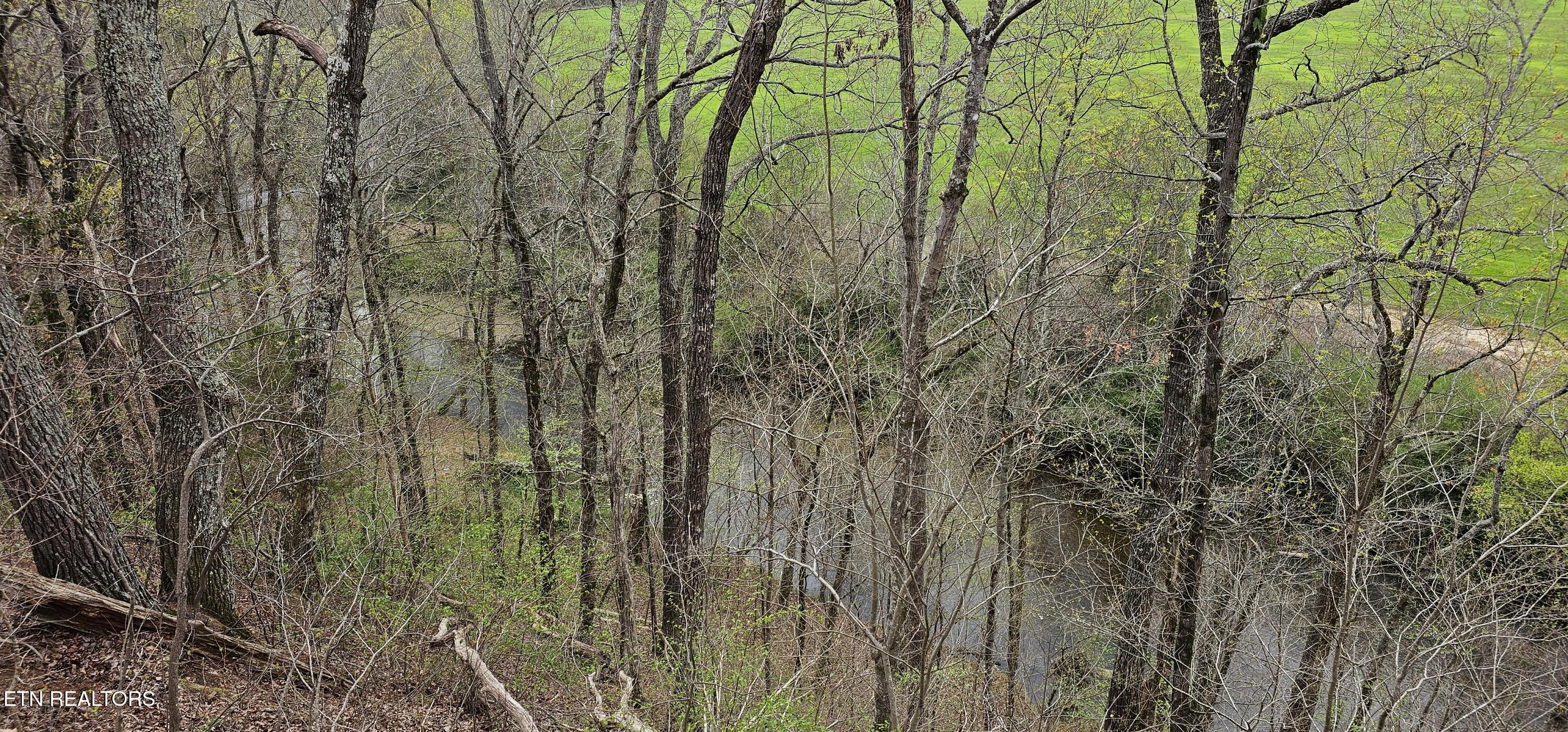 6870 Tennessee 360 Tellico Plains TN 37385