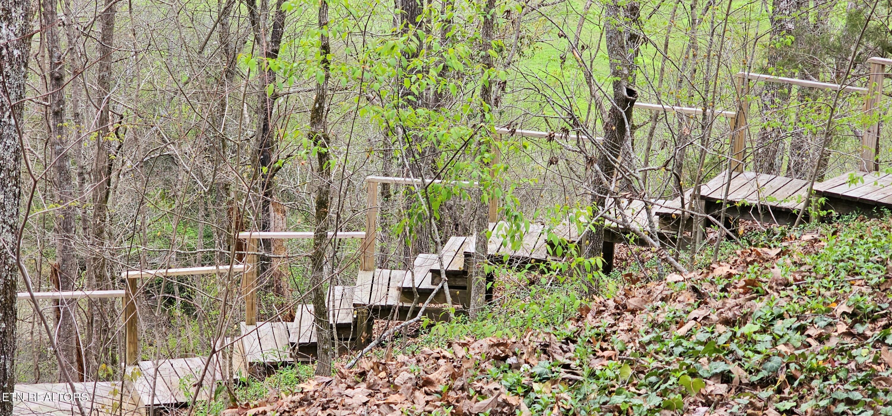 6870 Tennessee 360 Tellico Plains TN 37385