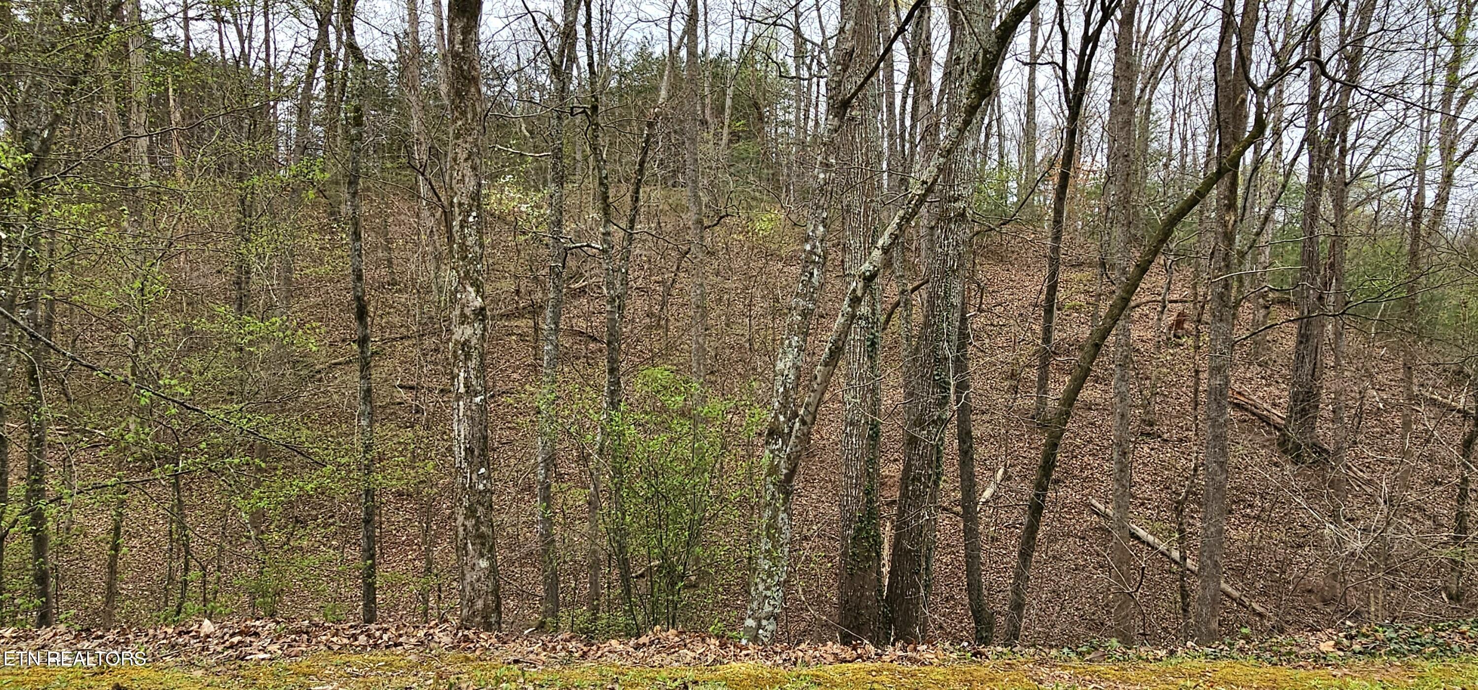6870 Tennessee 360 Tellico Plains TN 37385