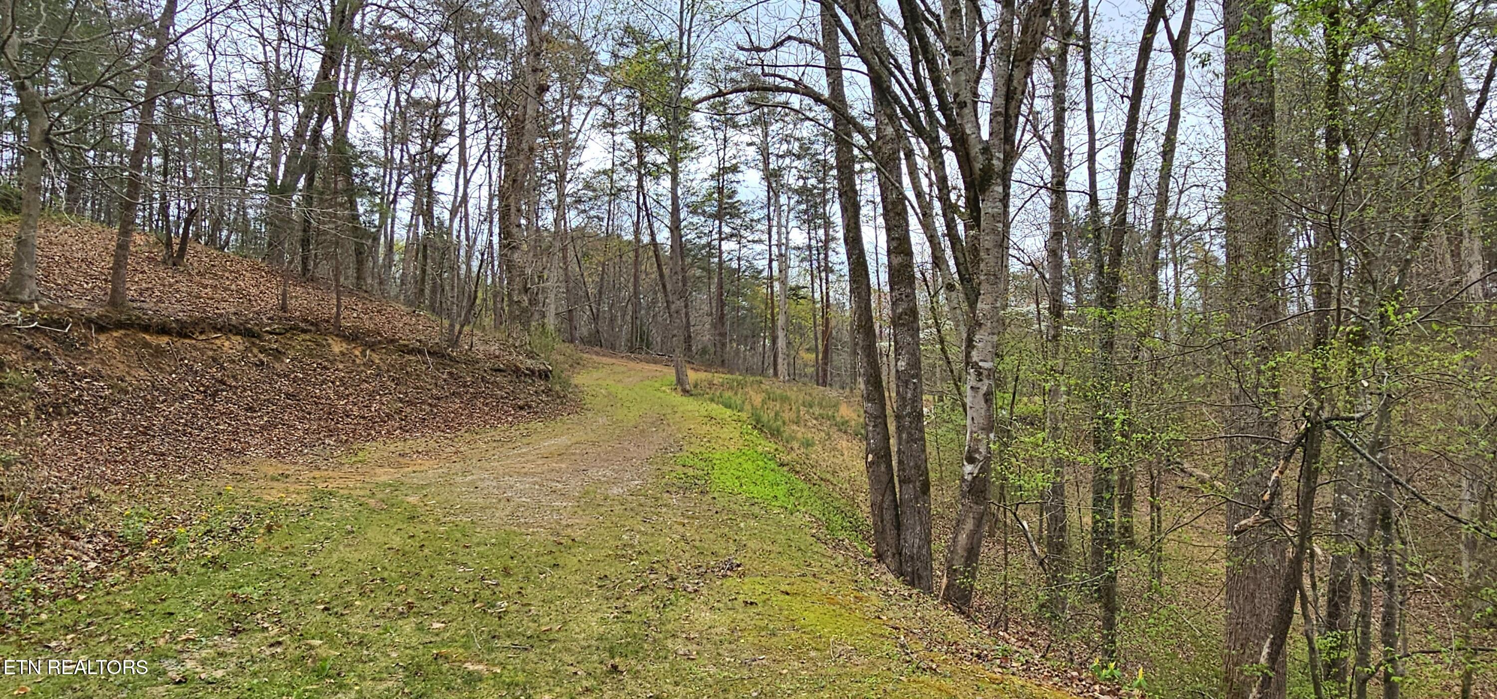 6870 Tennessee 360 Tellico Plains TN 37385