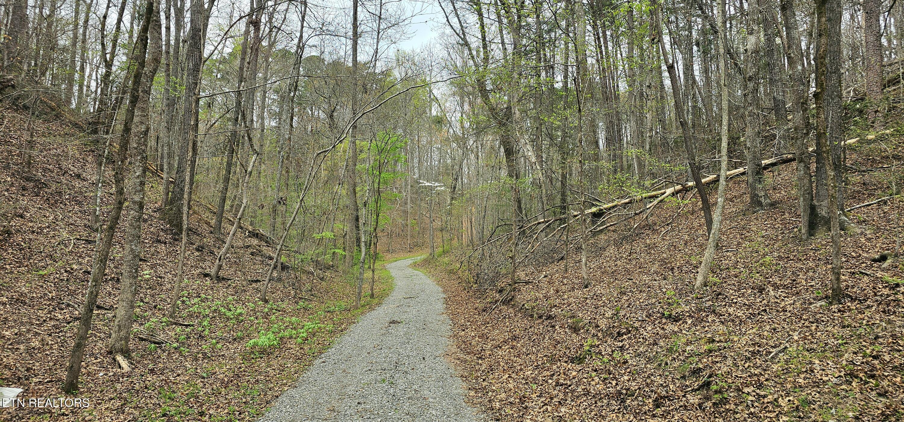 6870 Tennessee 360 Tellico Plains TN 37385