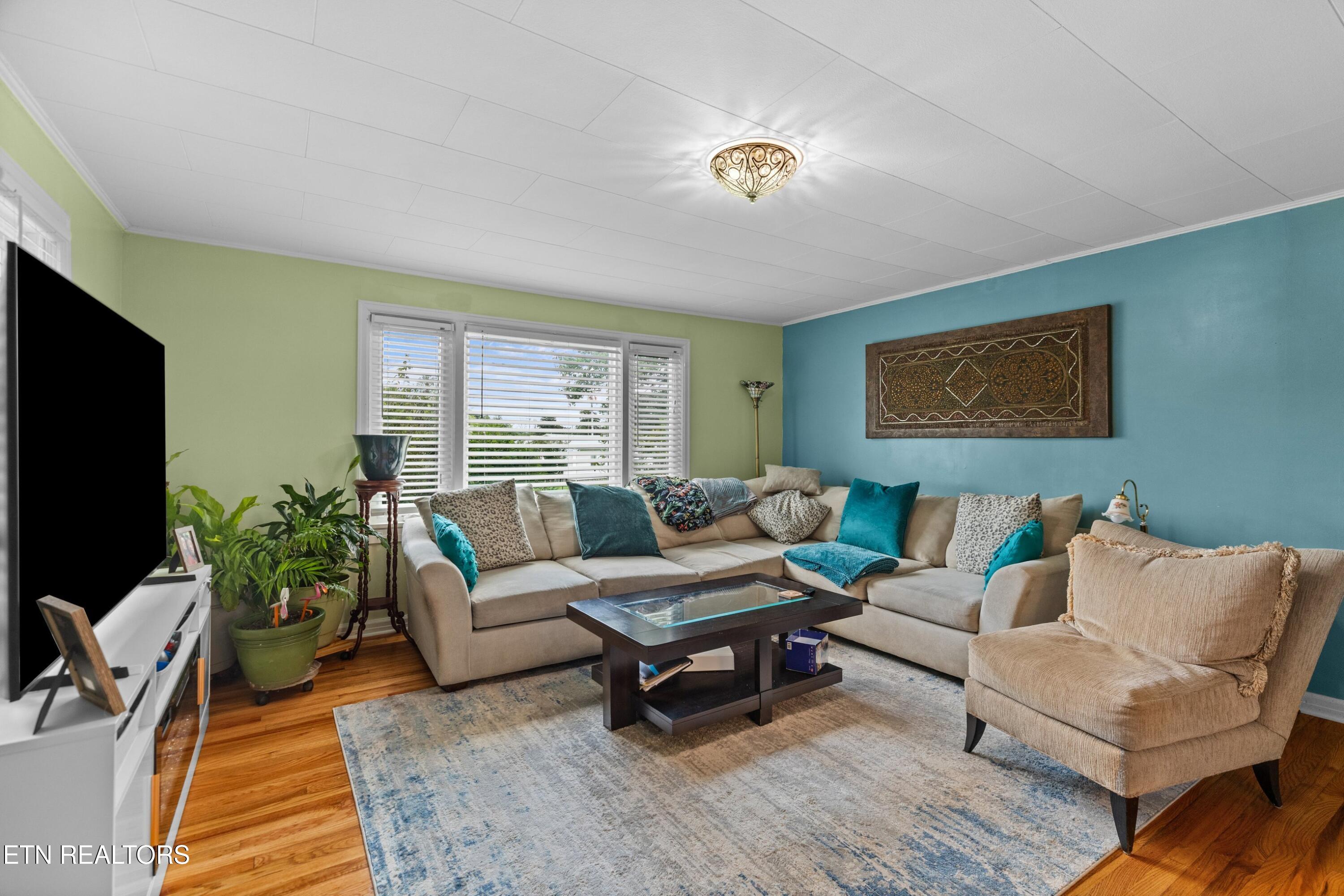 3207 Dove Lane White Pine TN 37890